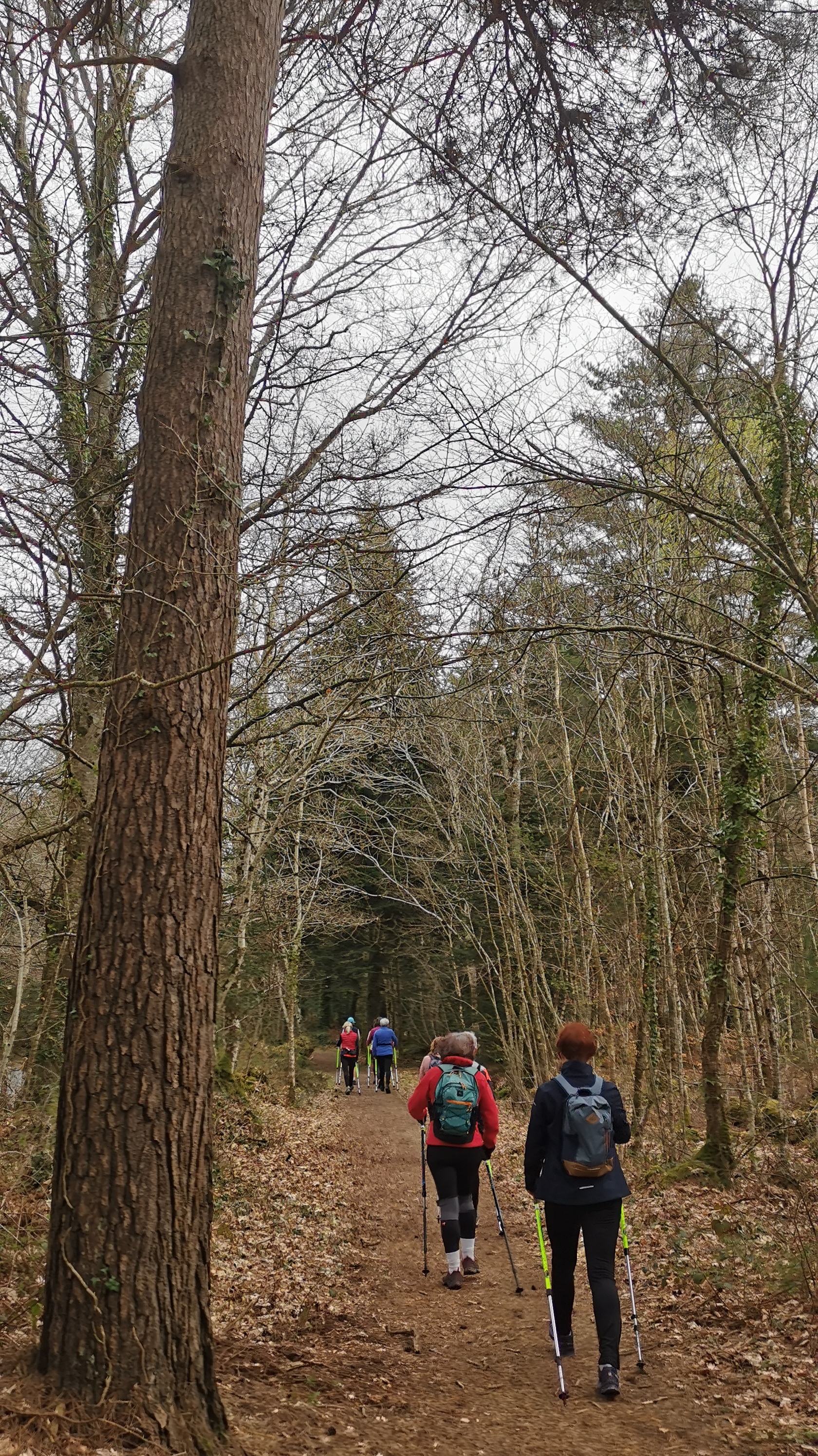 16-IMG_20210323_110452