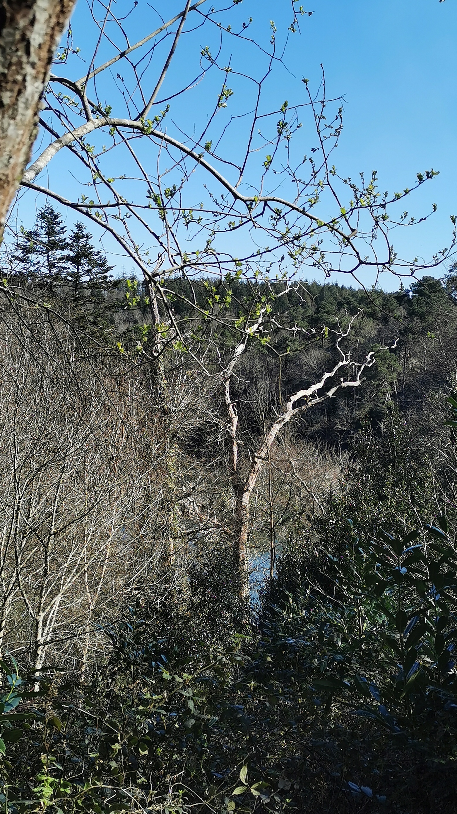 40-IMG_20210320_112757