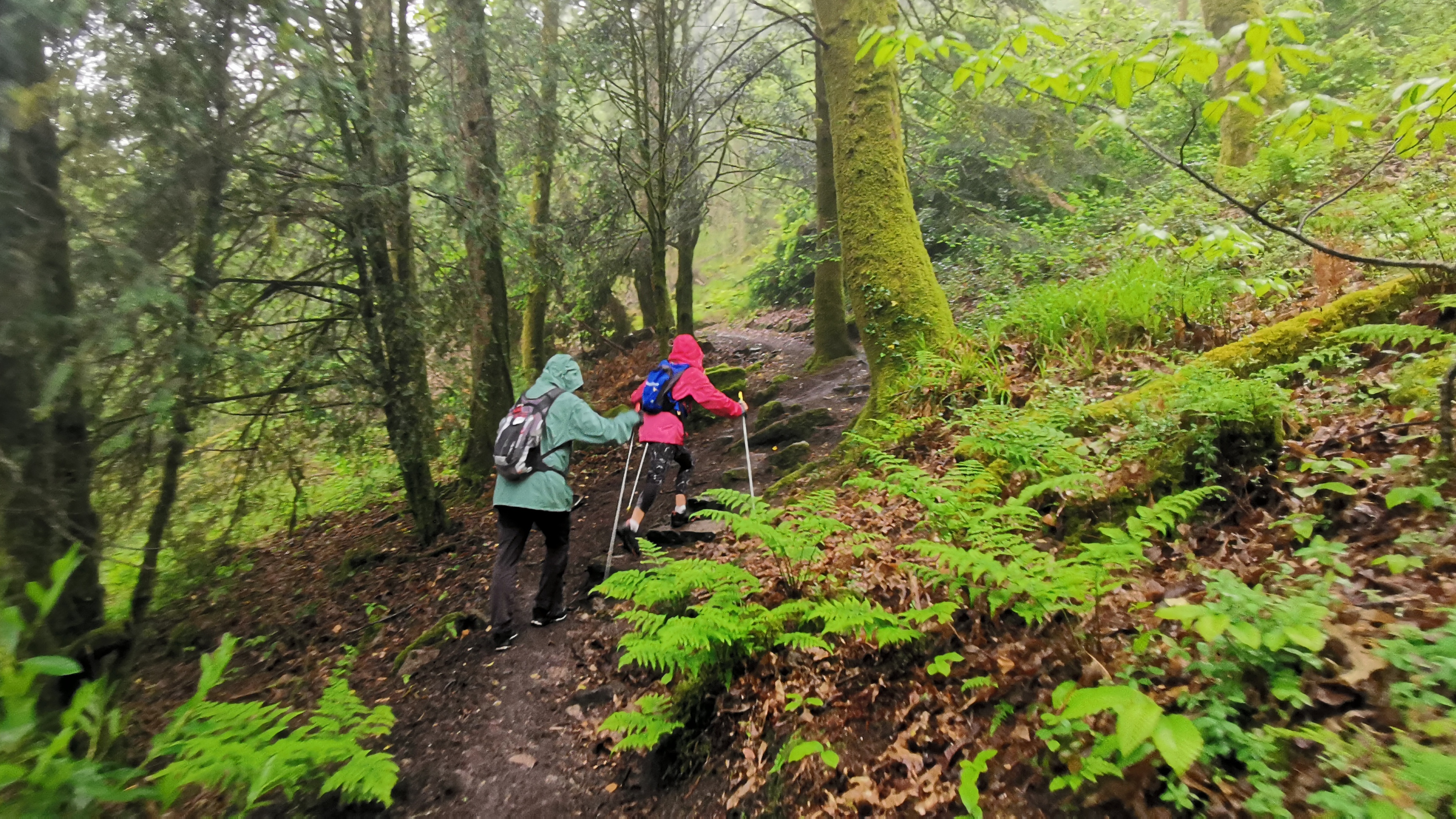 005-IMG_20210513_094023