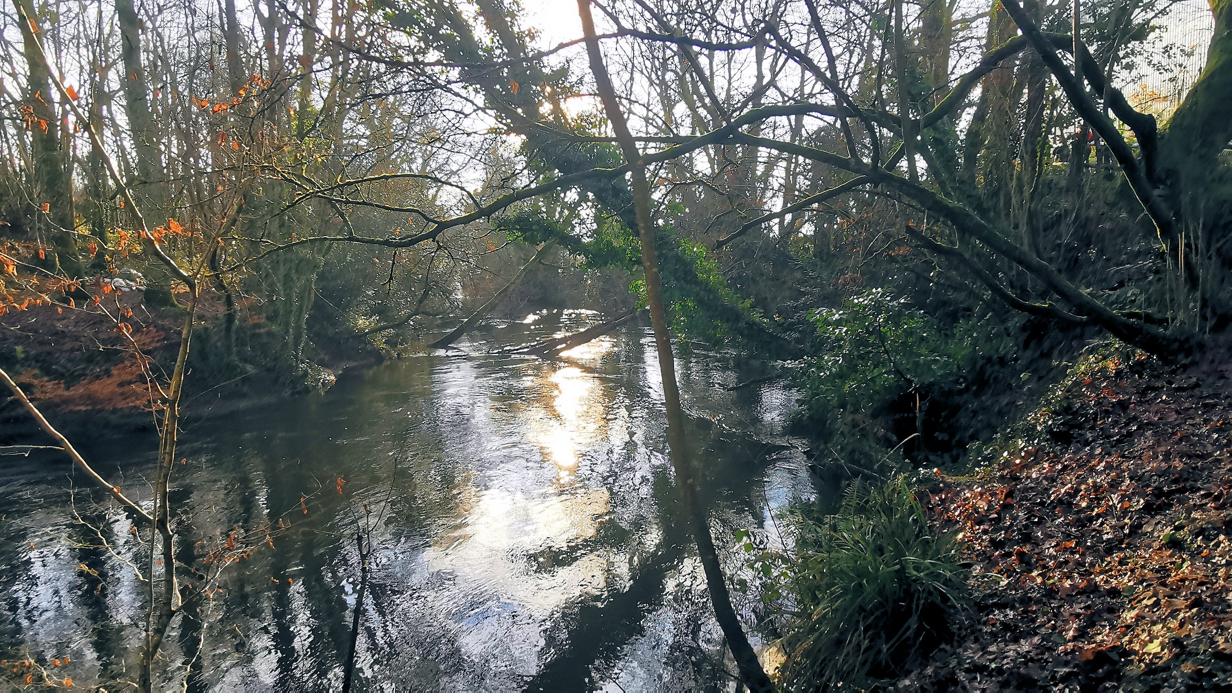 14-IMG_20210105_110813