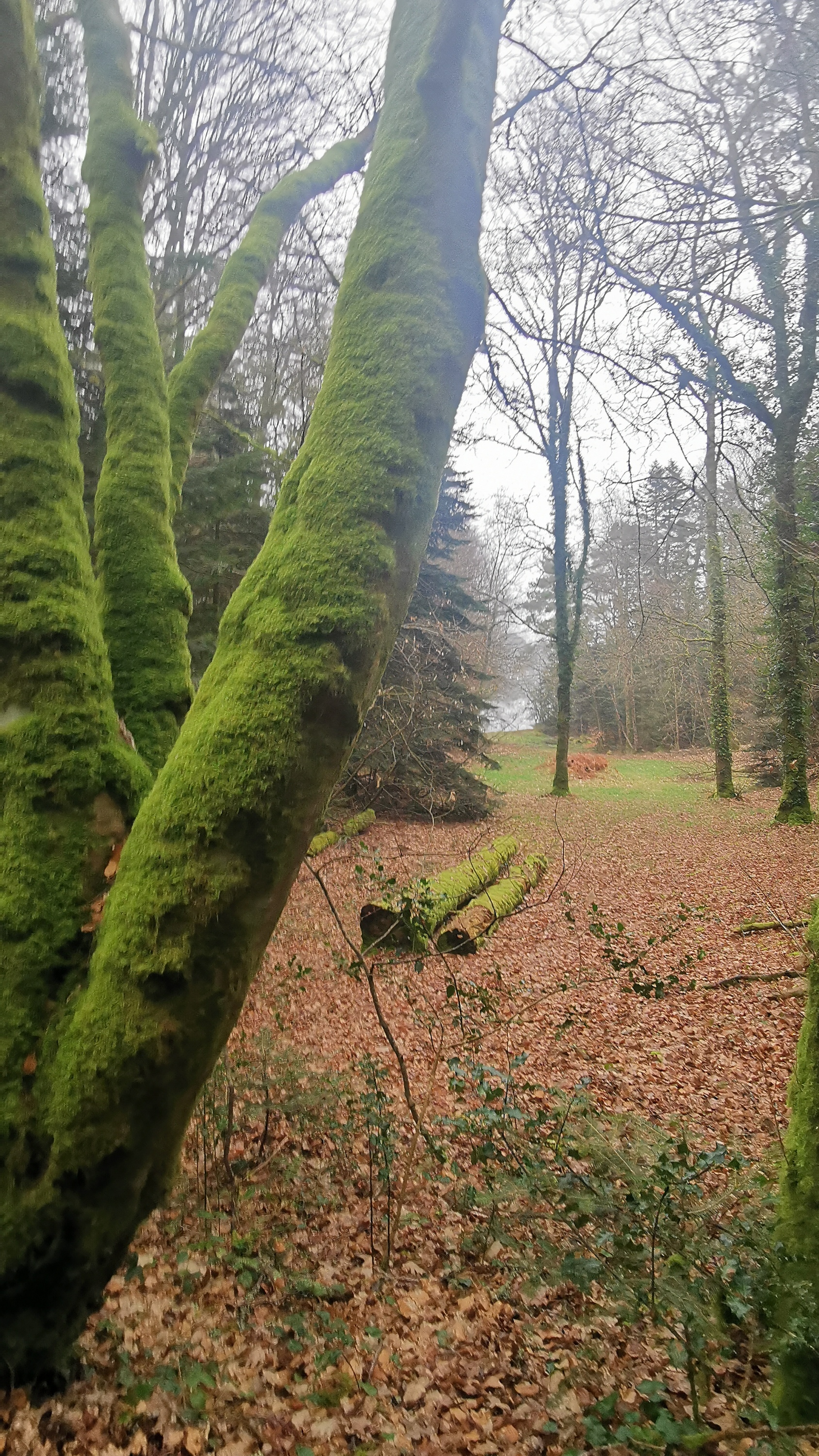 06-IMG_20210304_095515