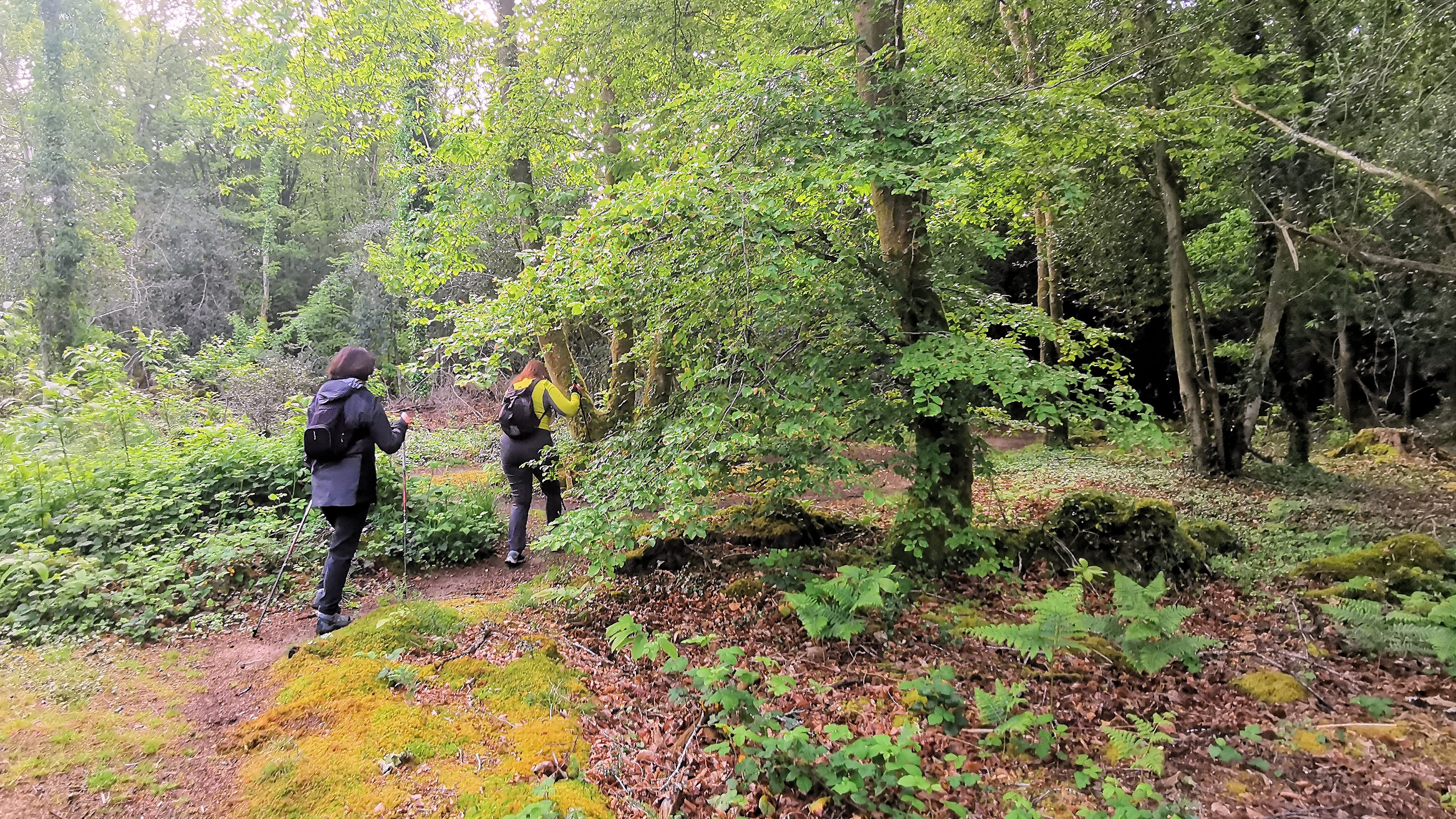 03-IMG_20210522_101224_1