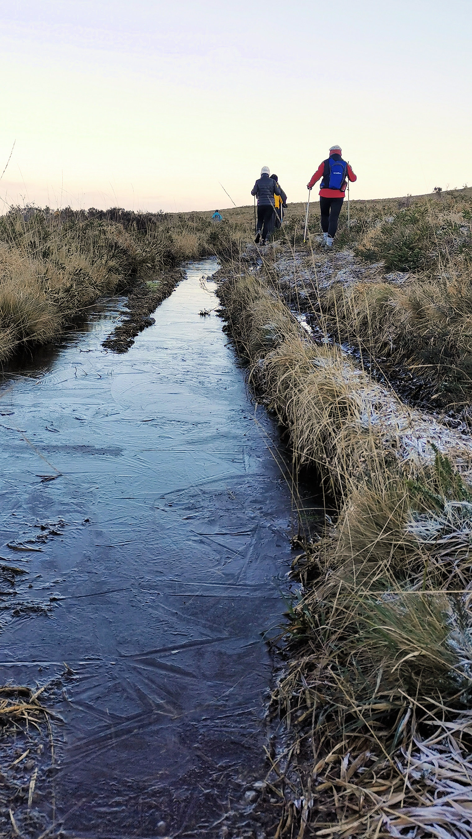 036-IMG_20210110_101921