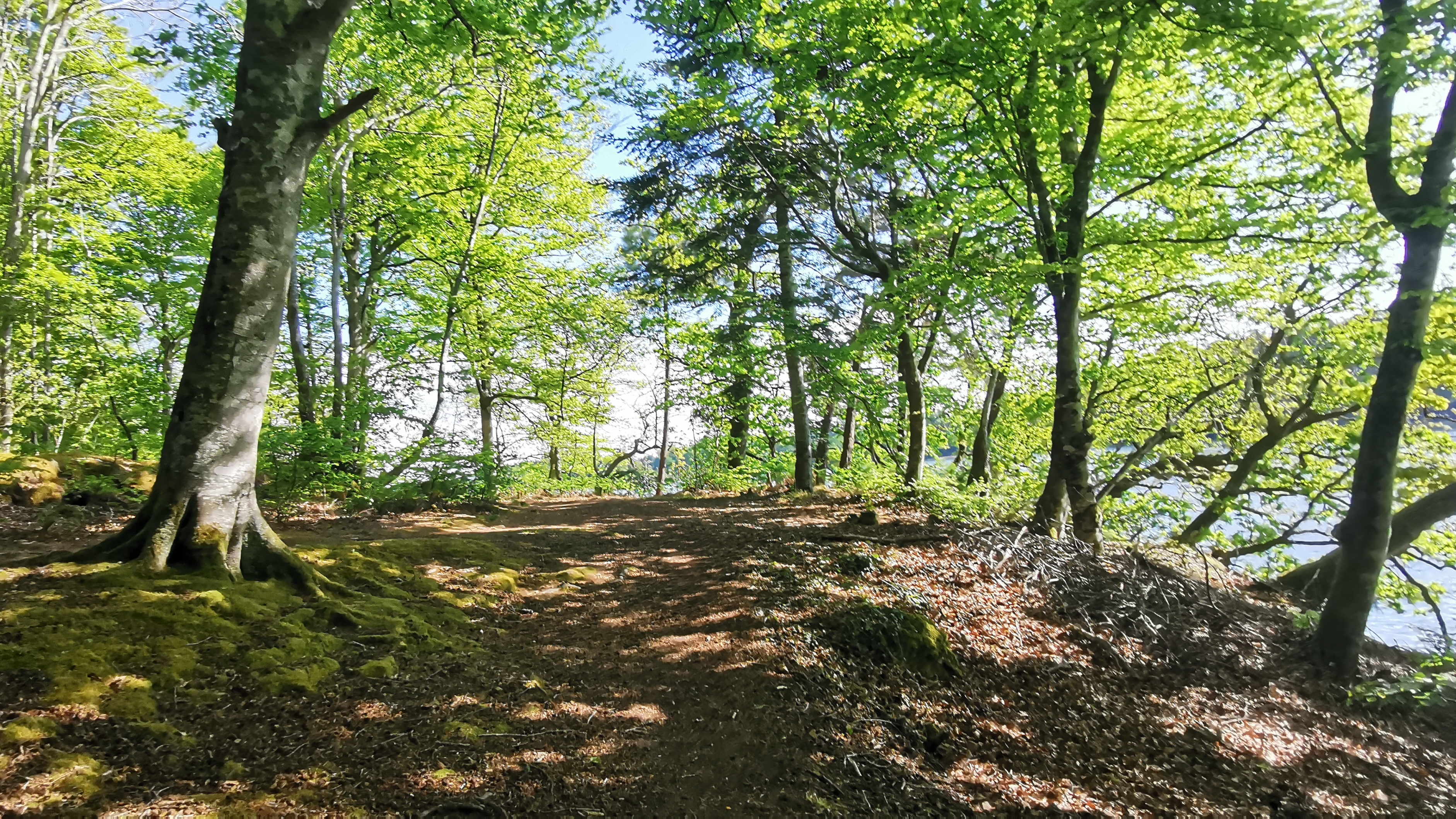 17-IMG_20210501_103512