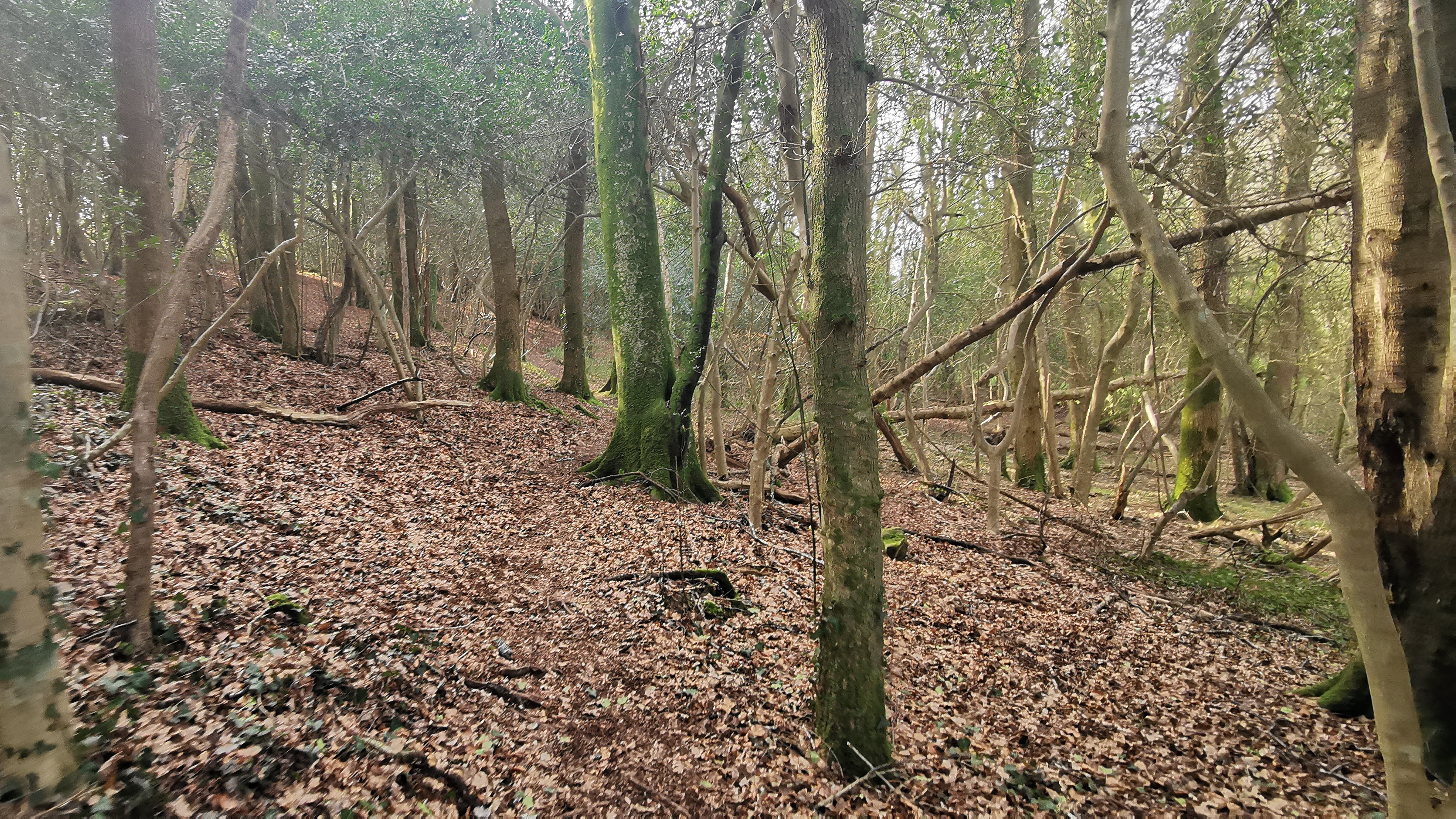 70-IMG_20210318_110953