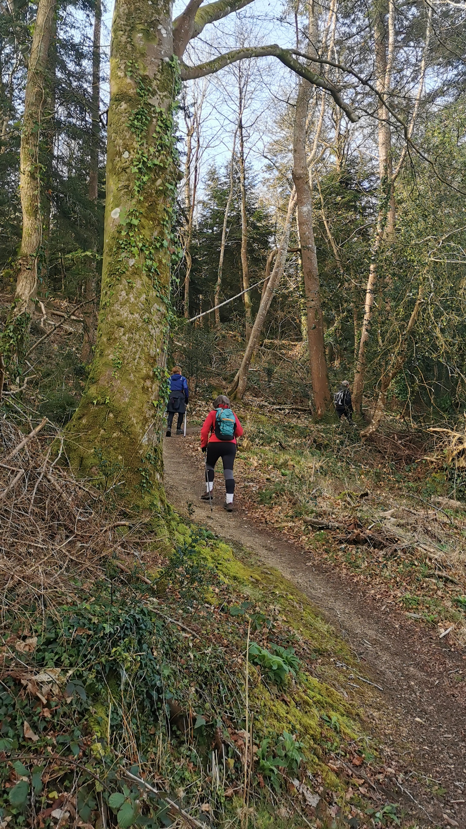 59-IMG_20210318_105218