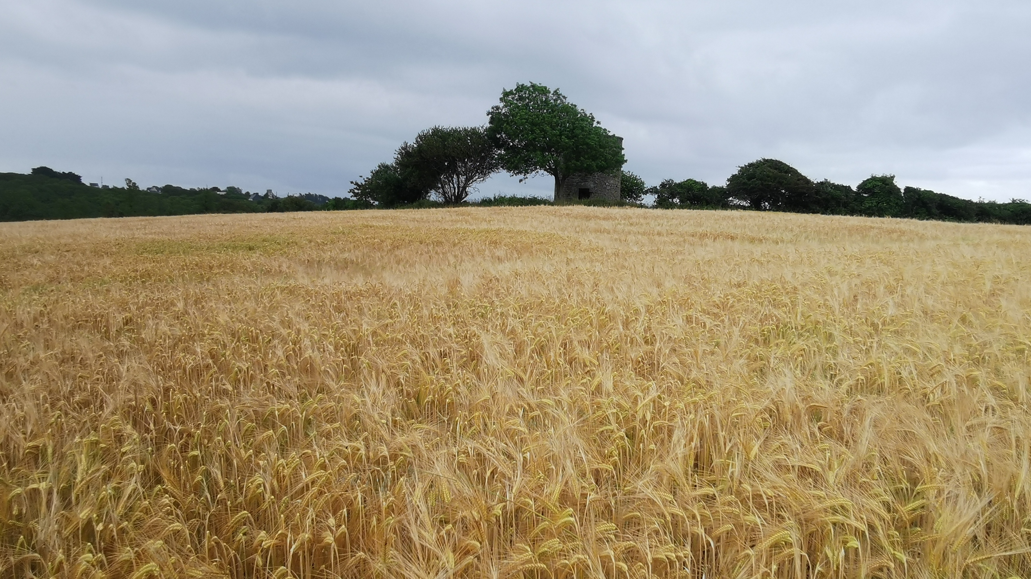 092-IMG_20210620_104948