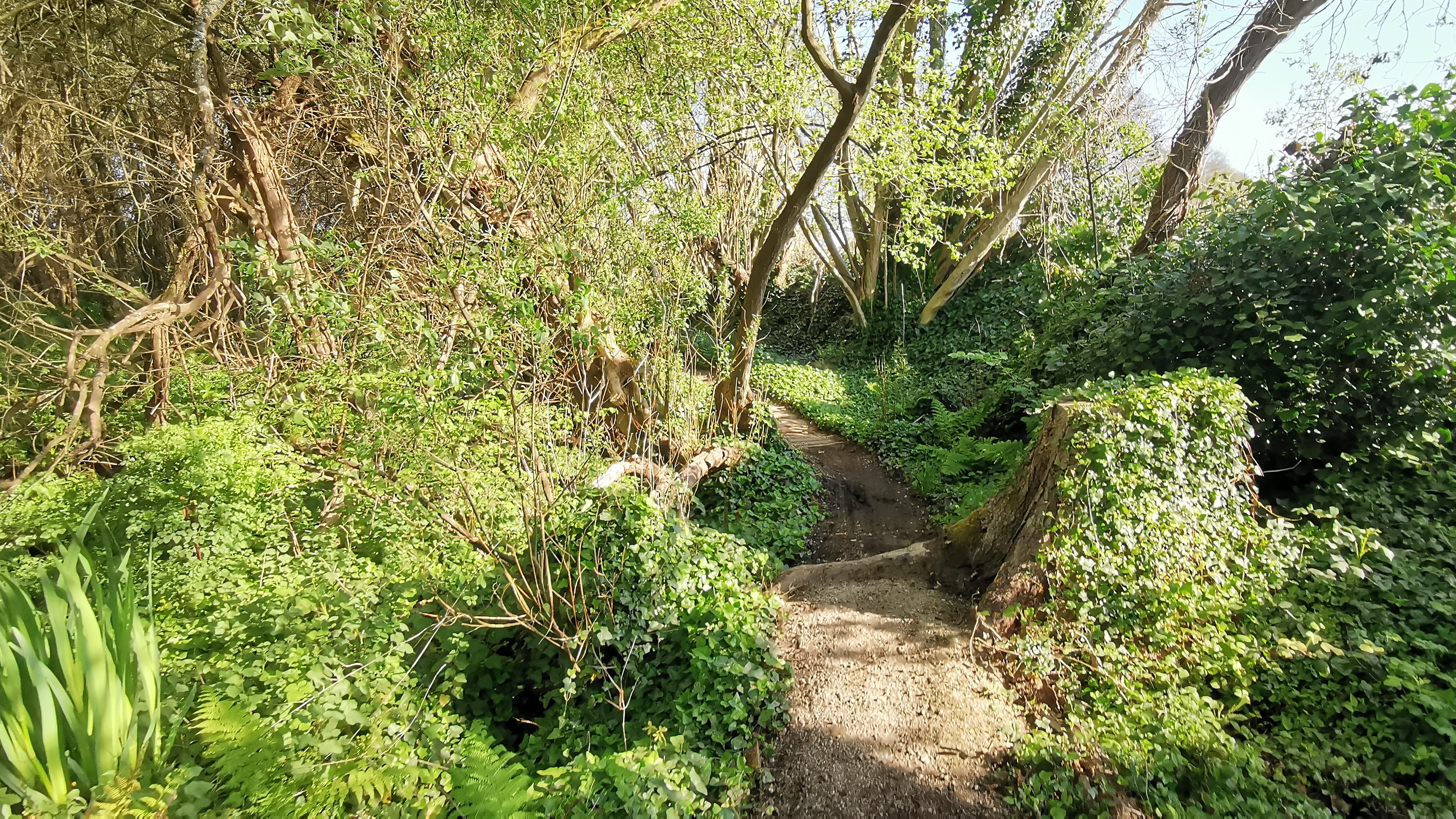 15-IMG_20210425_100422