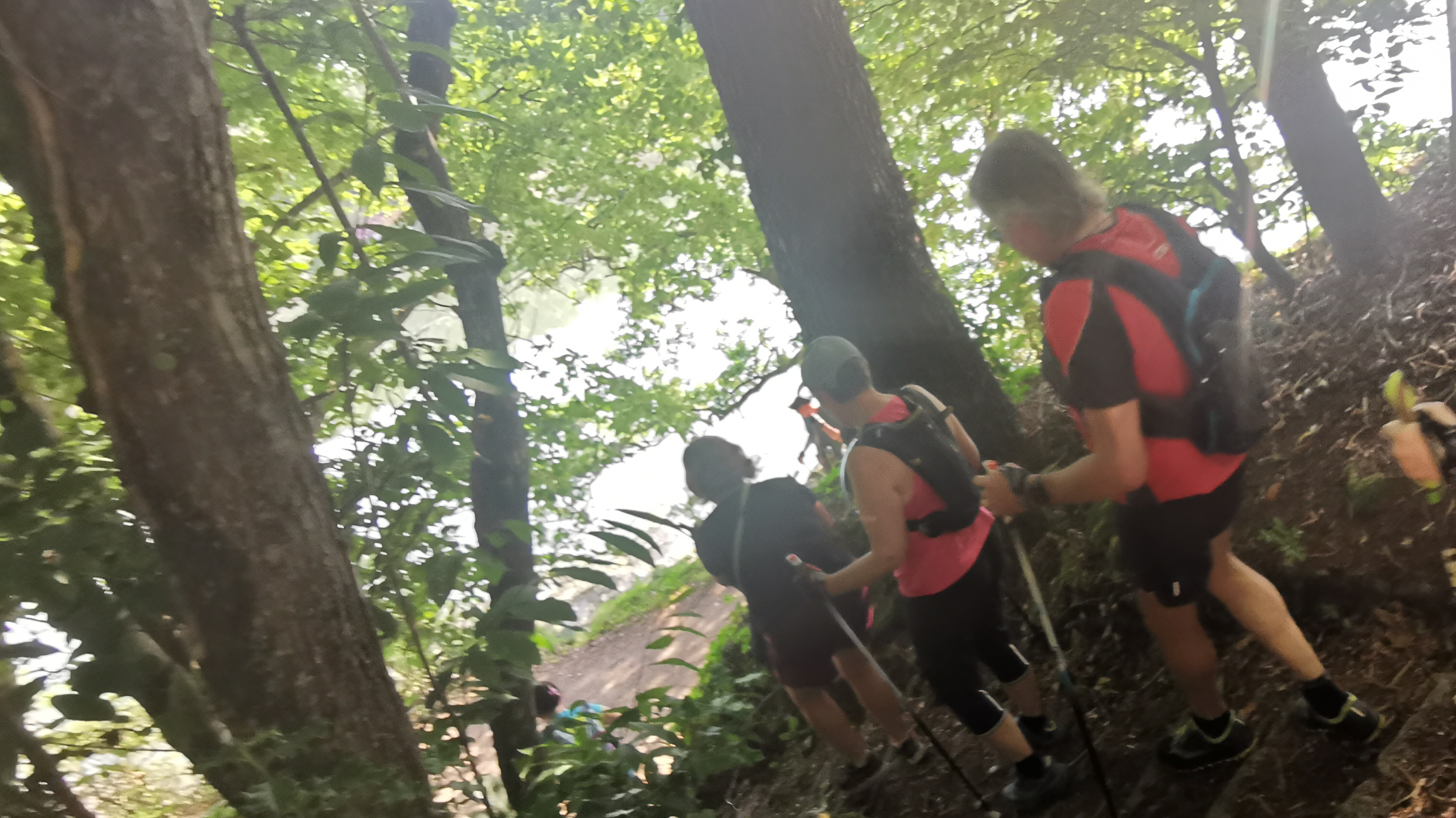 007-IMG_20210718_095130_1