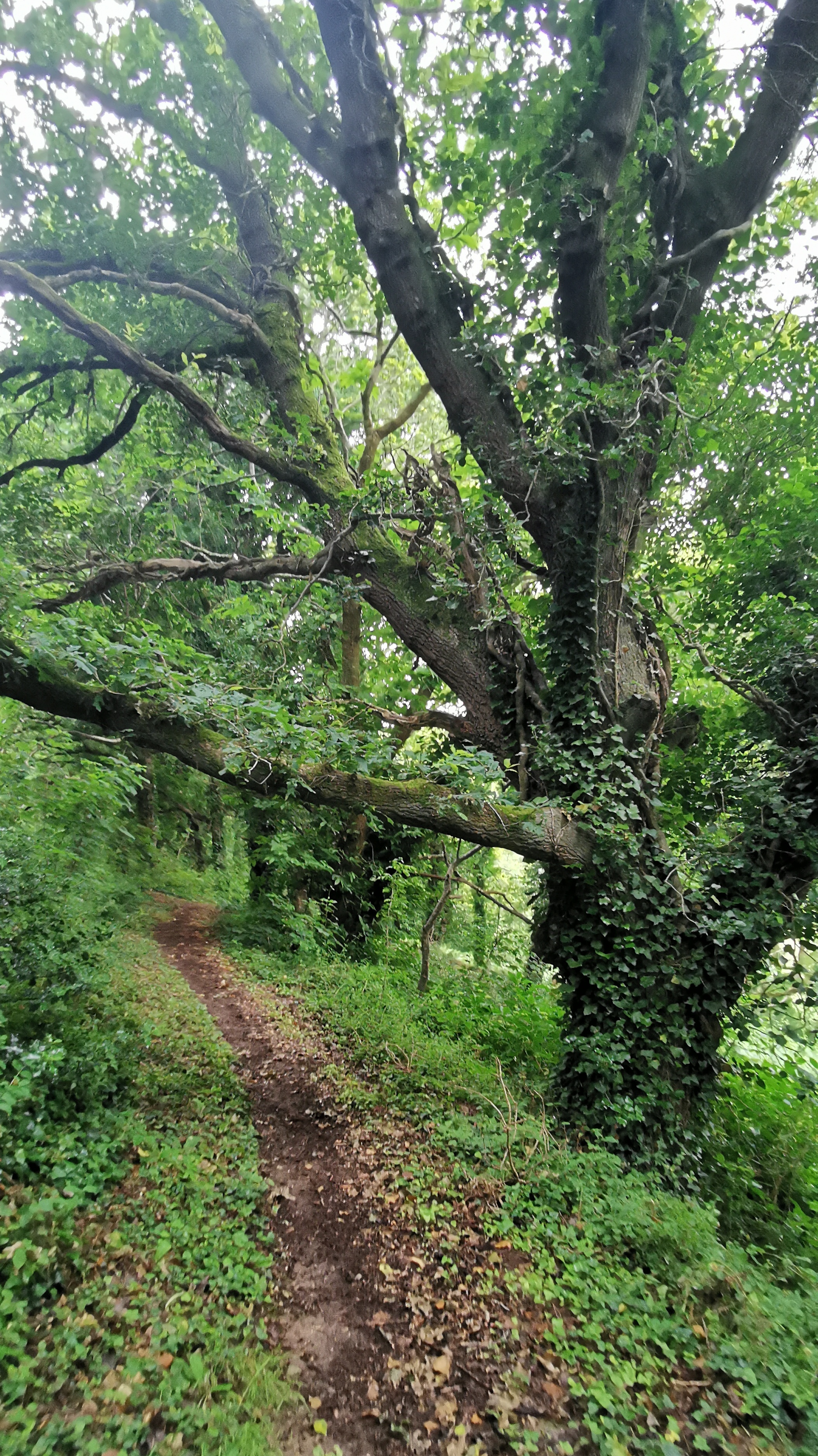 153-IMG_20210620_113750_1