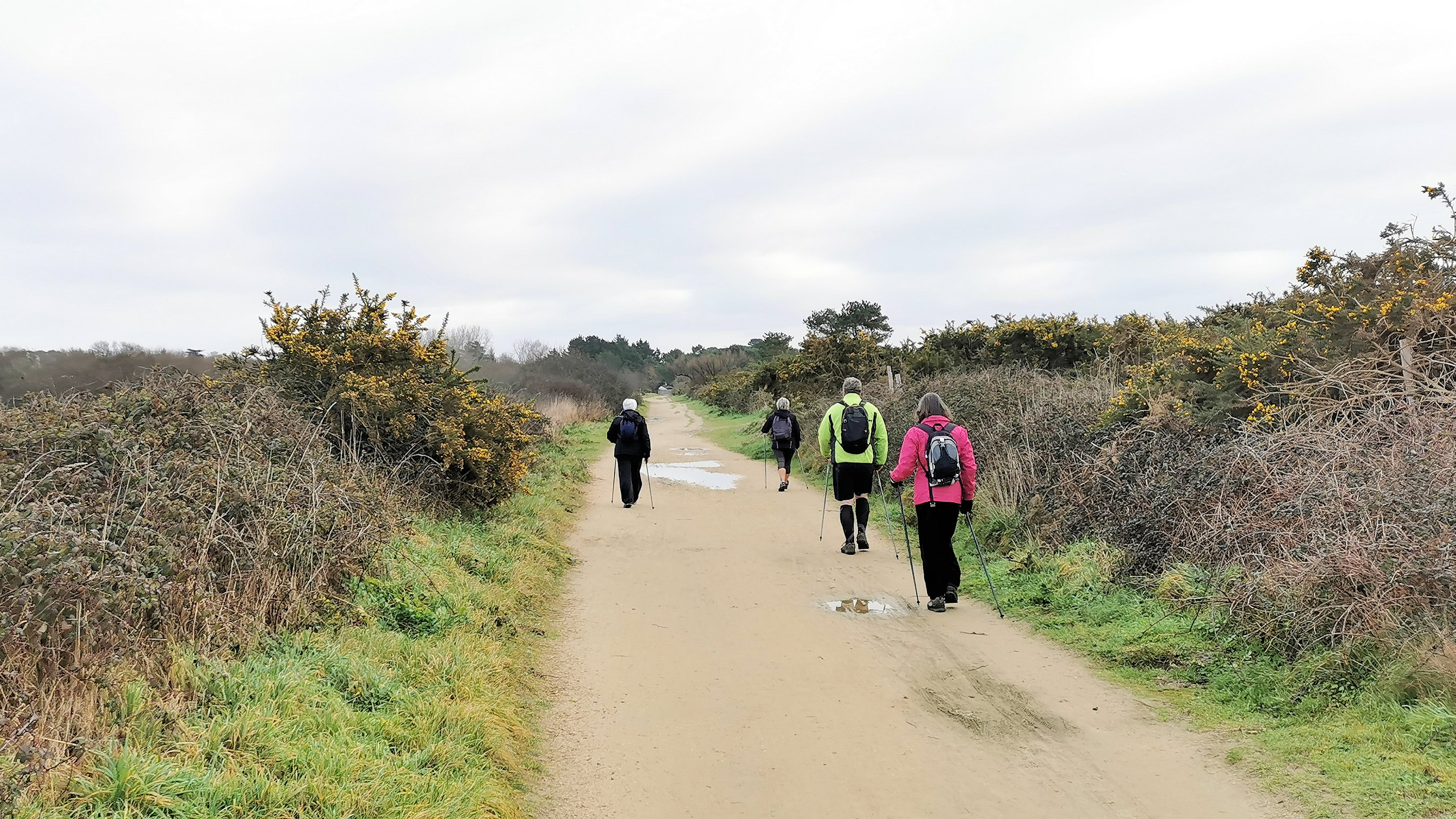 03-IMG_20210118_101938_1