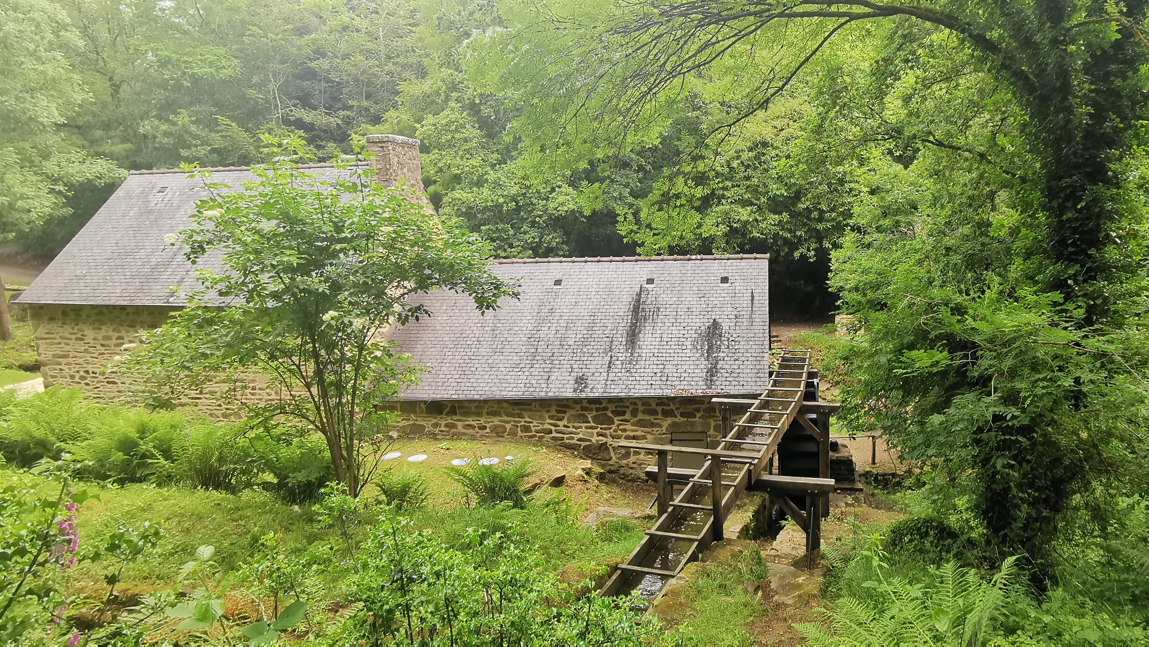 52-IMG_20210617_114018_1