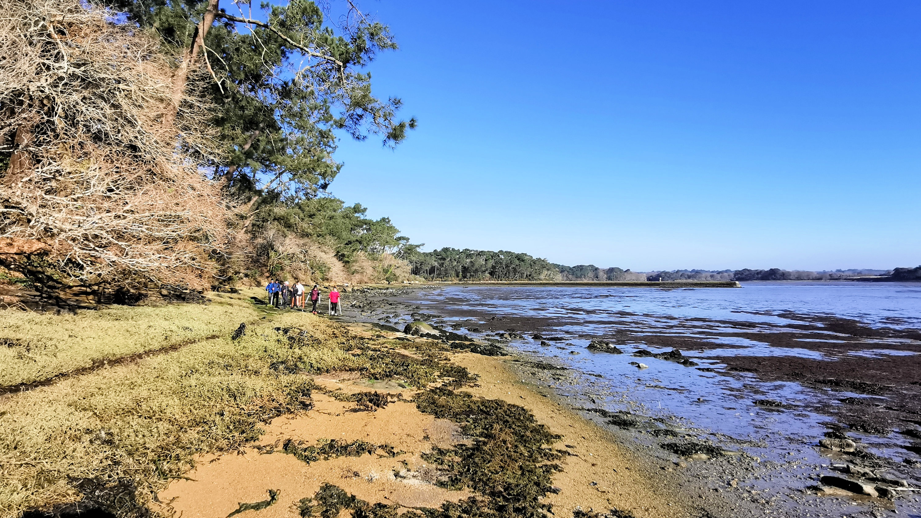 019-IMG_20210228_100508