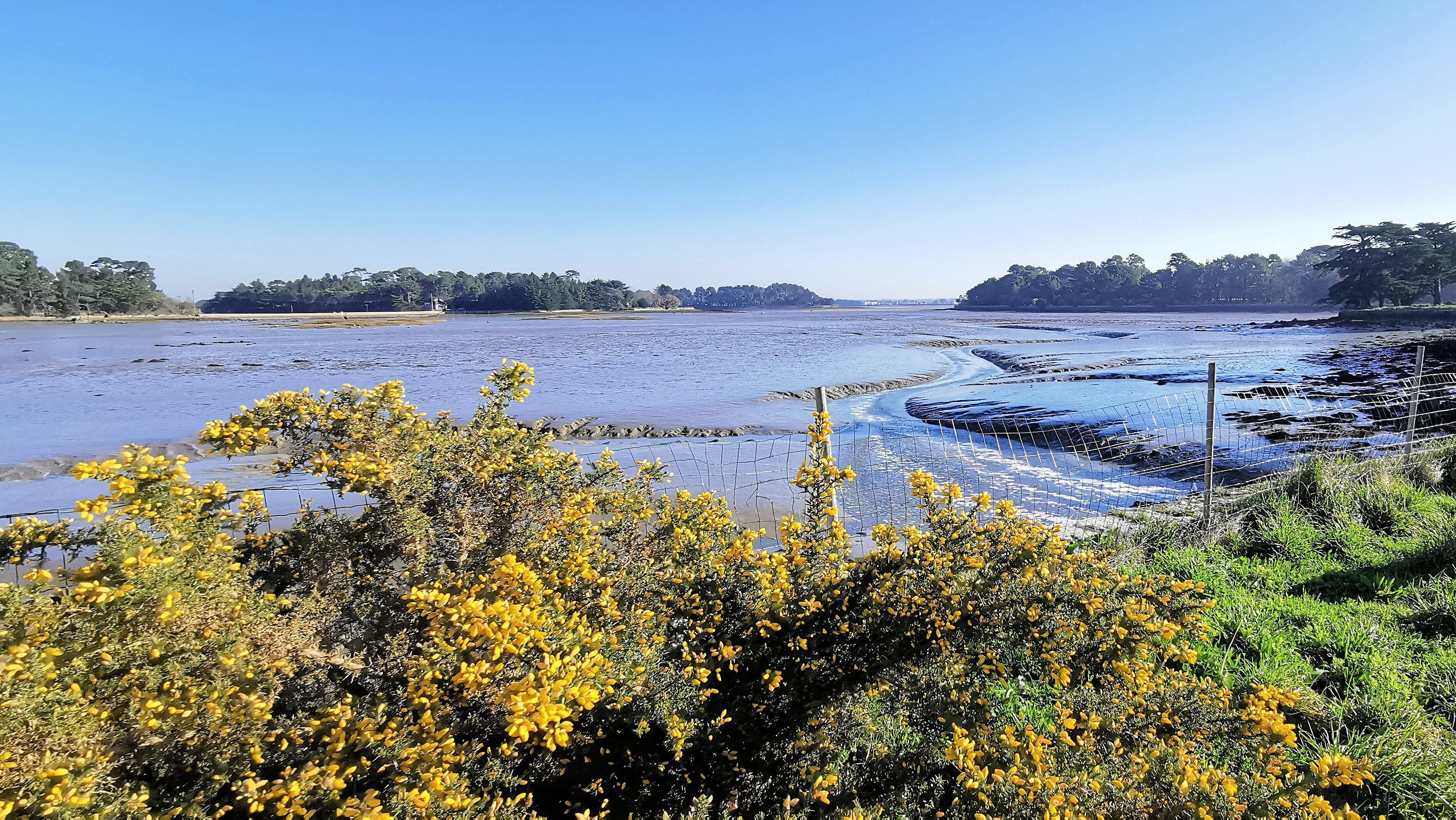 067-IMG_20210228_103607