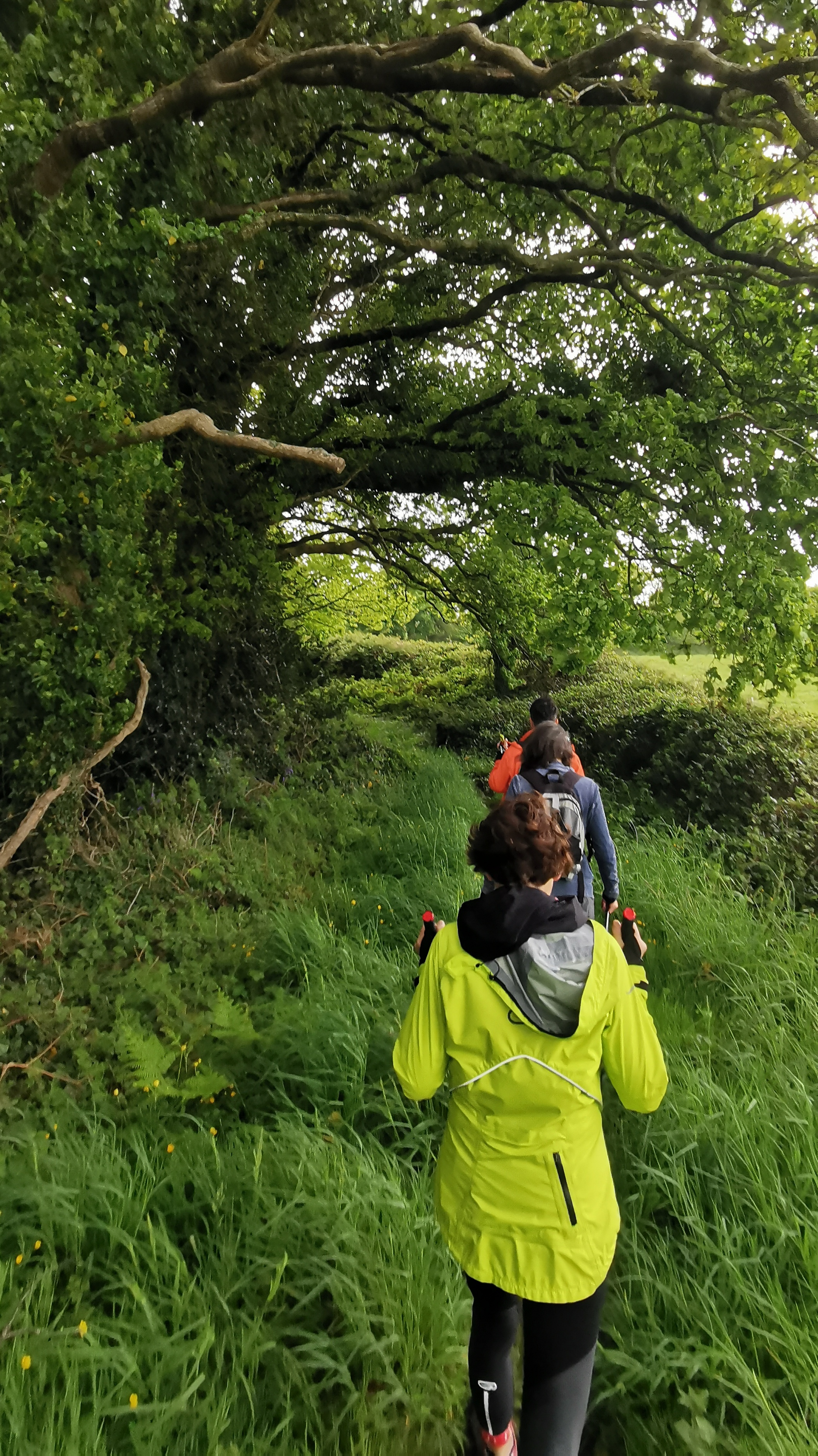 16-IMG_20210508_101329