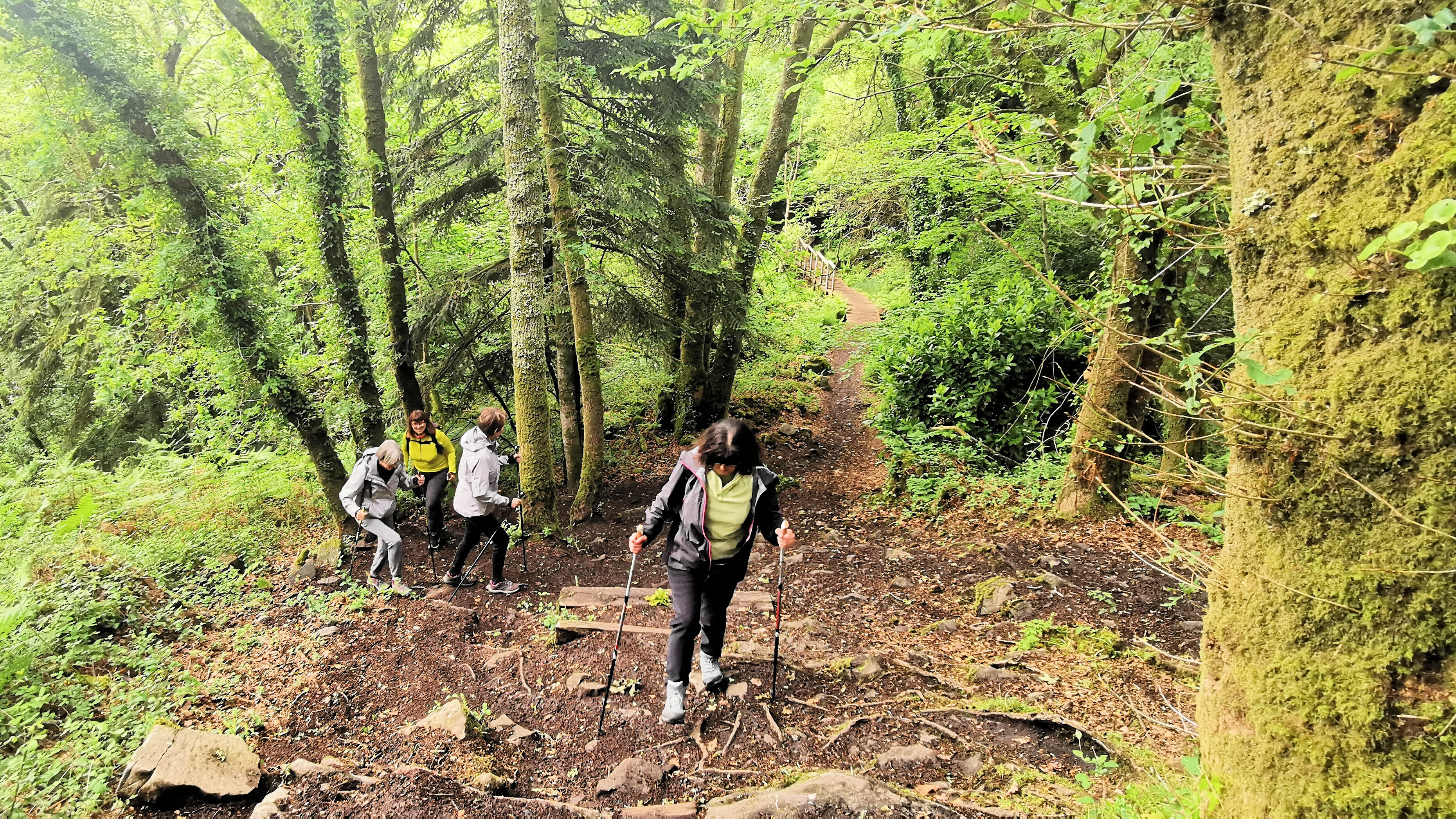 41-IMG_20210522_112049