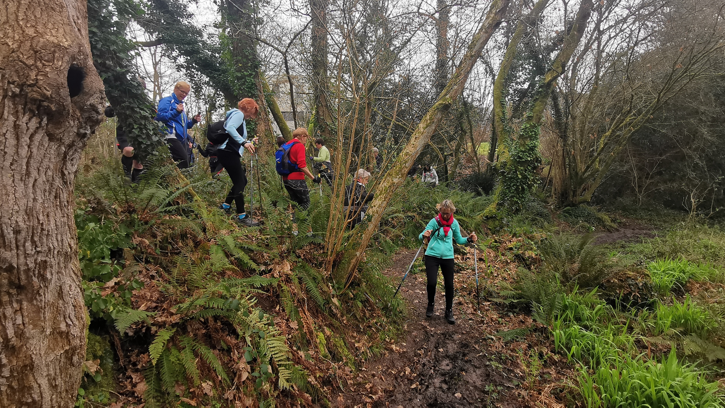 29-IMG_20210304_103909_1