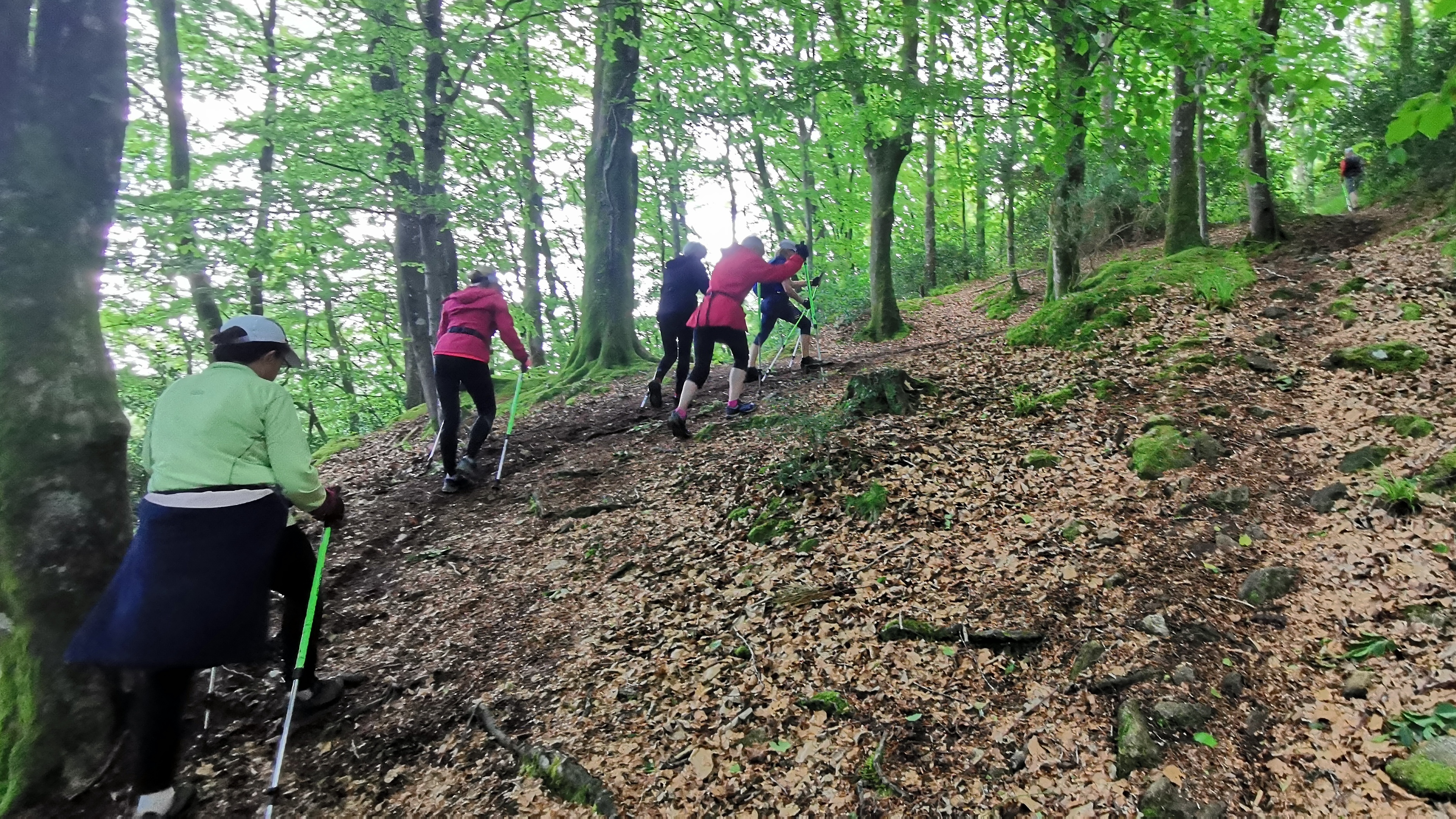 38-IMG_20210525_105257