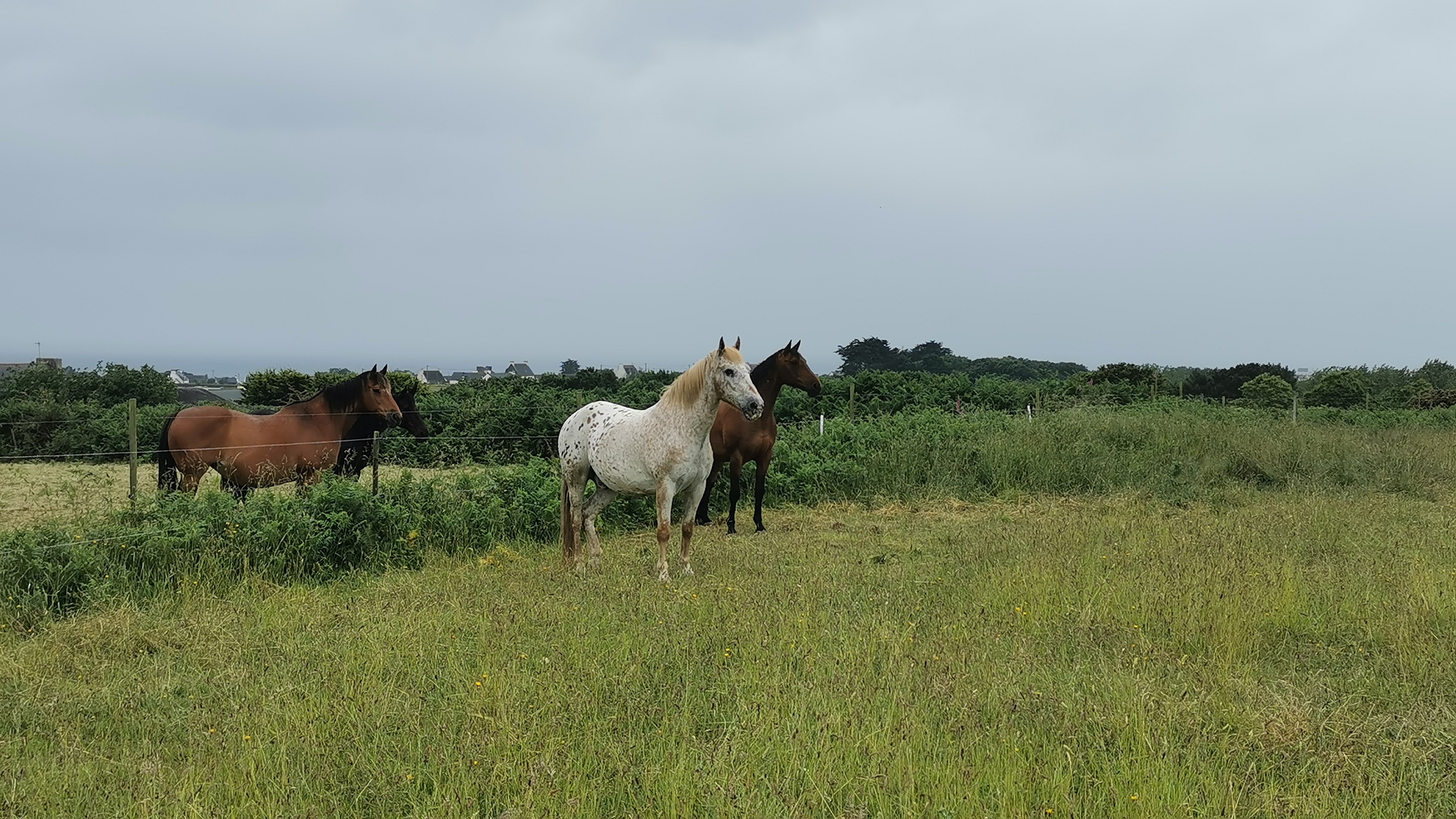 144-IMG_20210620_112851