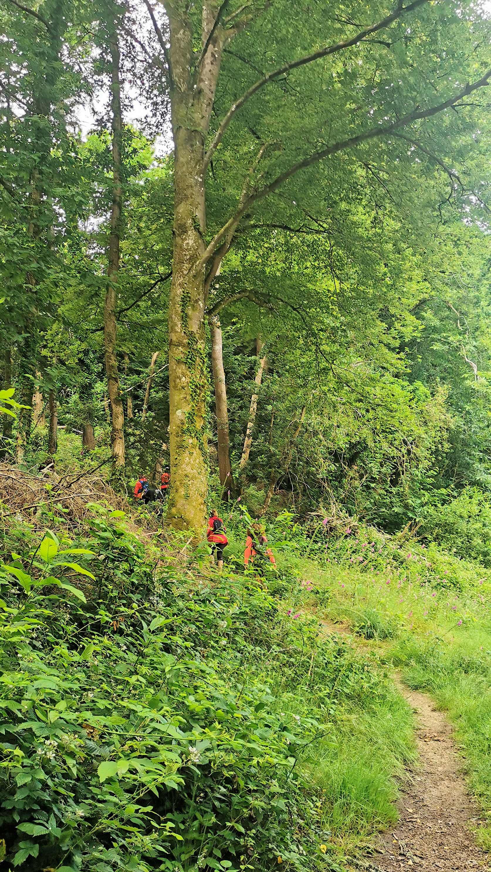 18-IMG_20210628_113150