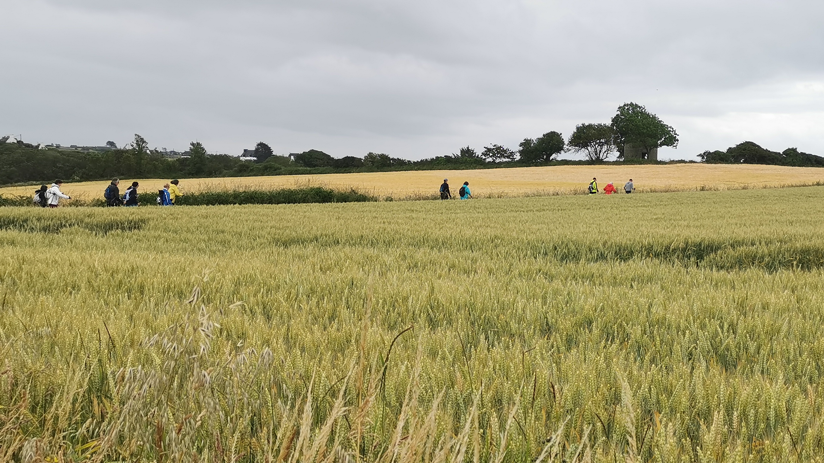 090-IMG_20210620_104824