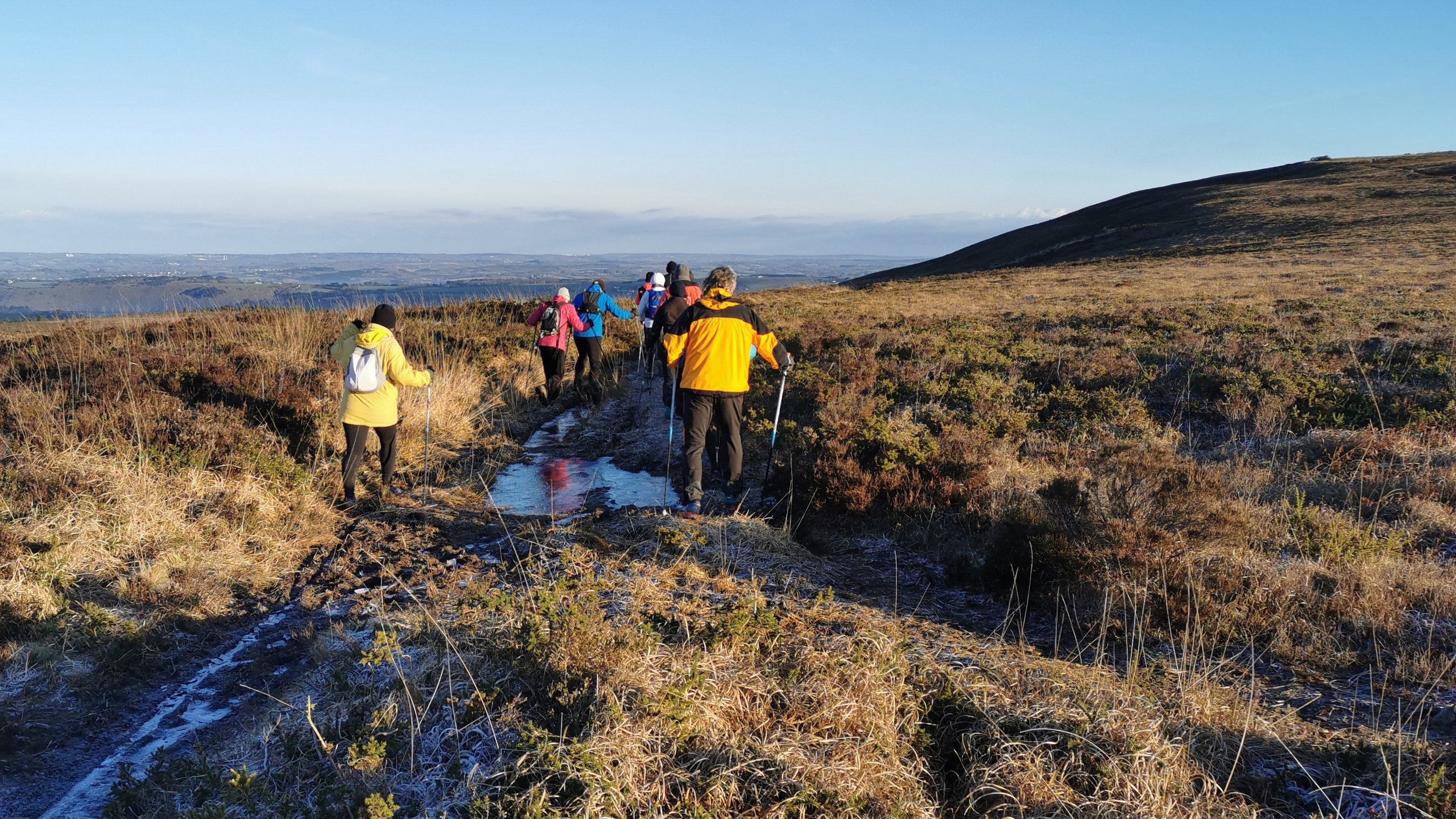 029-IMG_20210110_101435