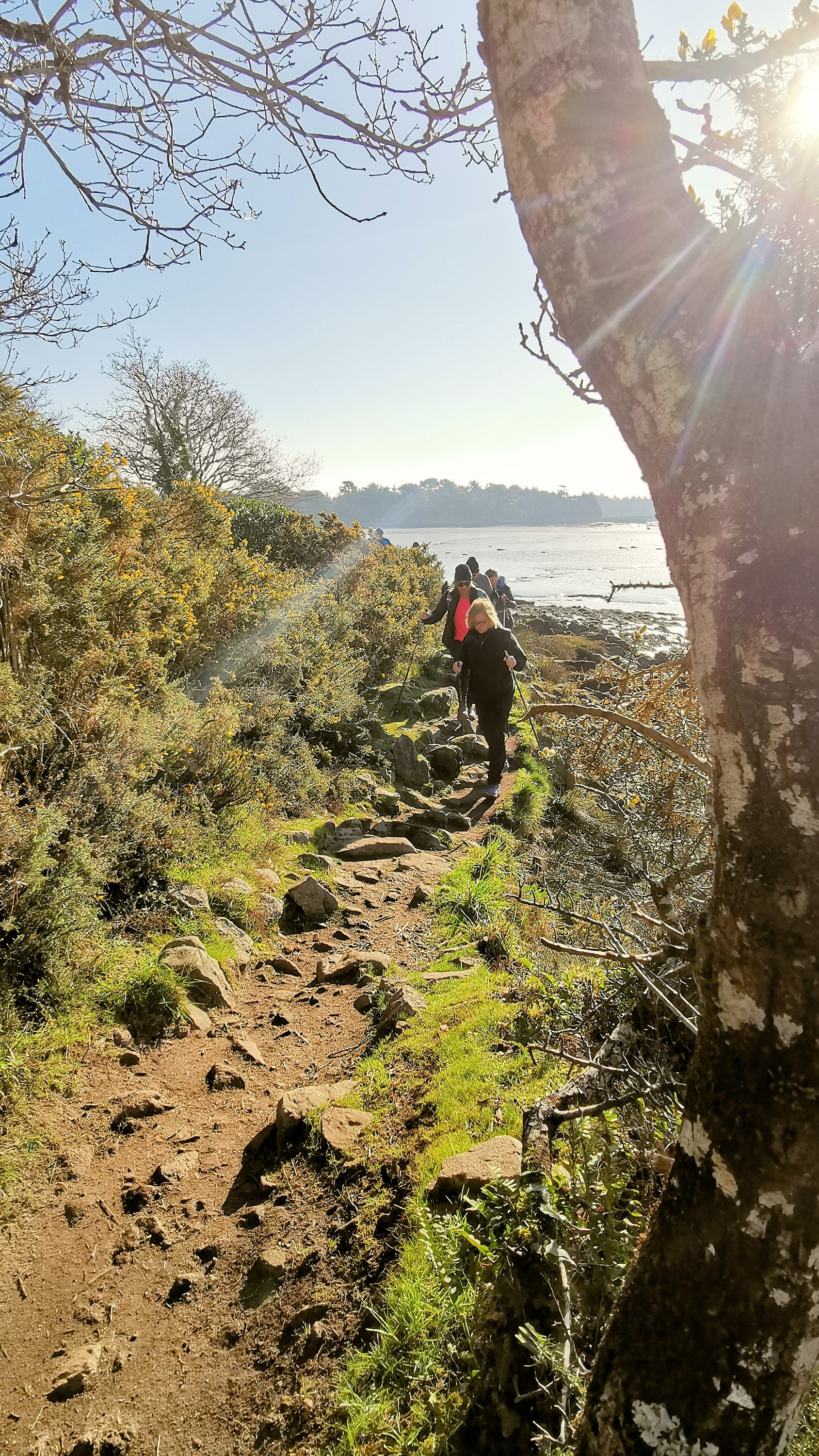 058-IMG_20210228_103019_1