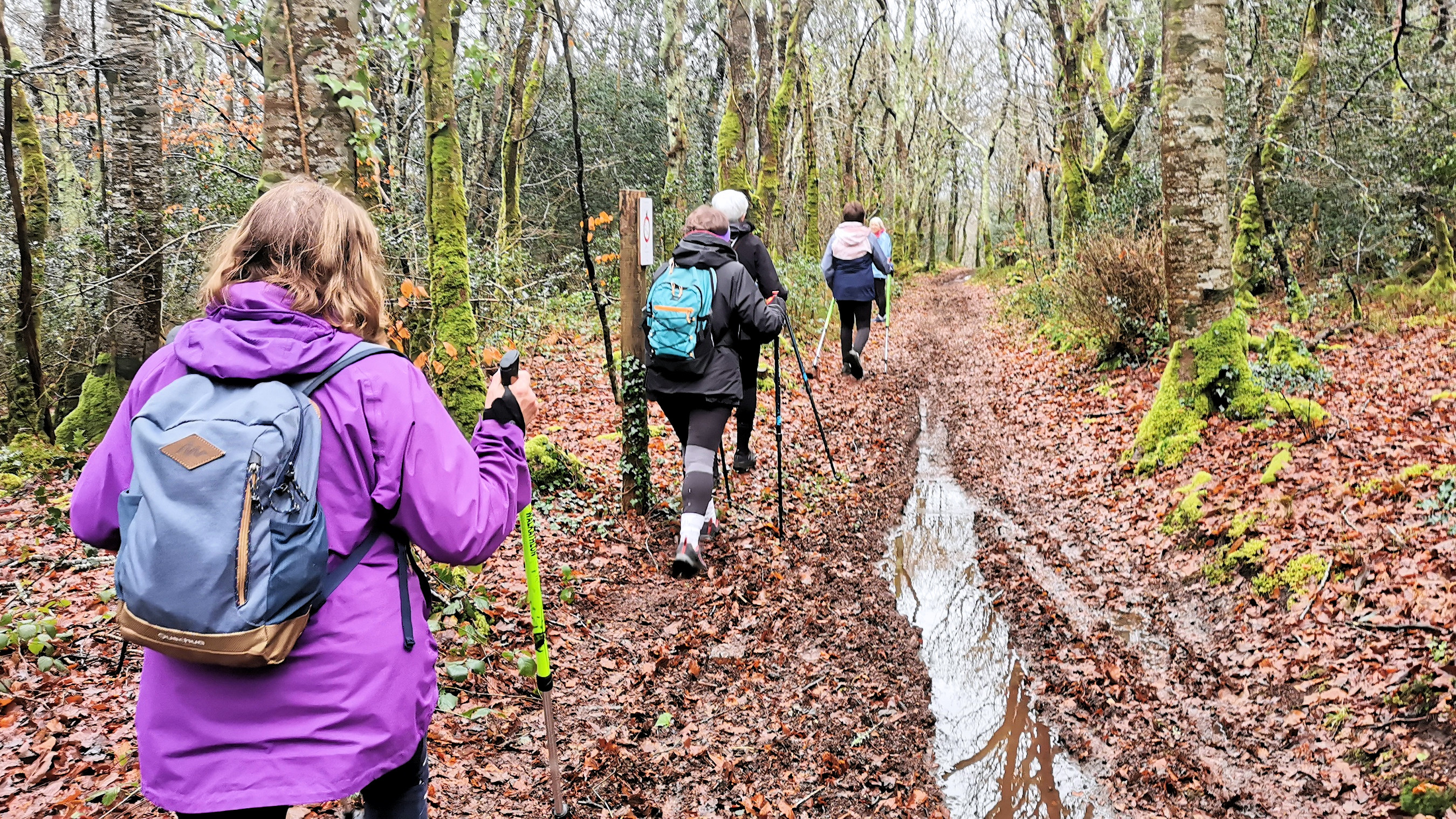 02-IMG_20210119_101958