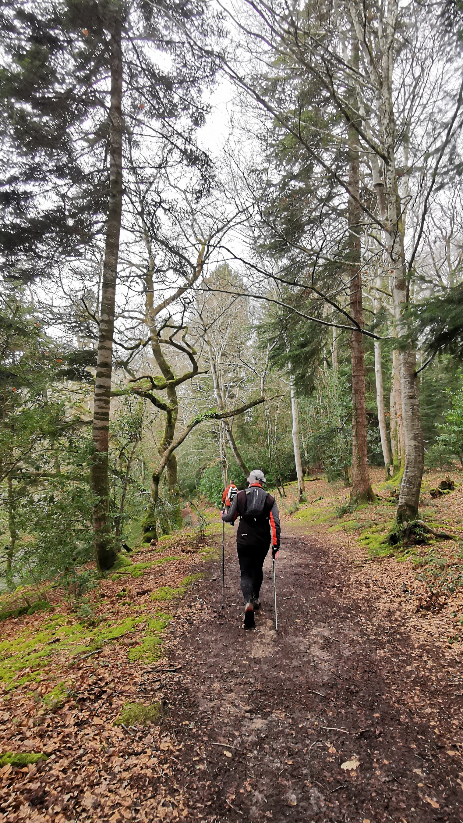 146-IMG_20210220_123908_1