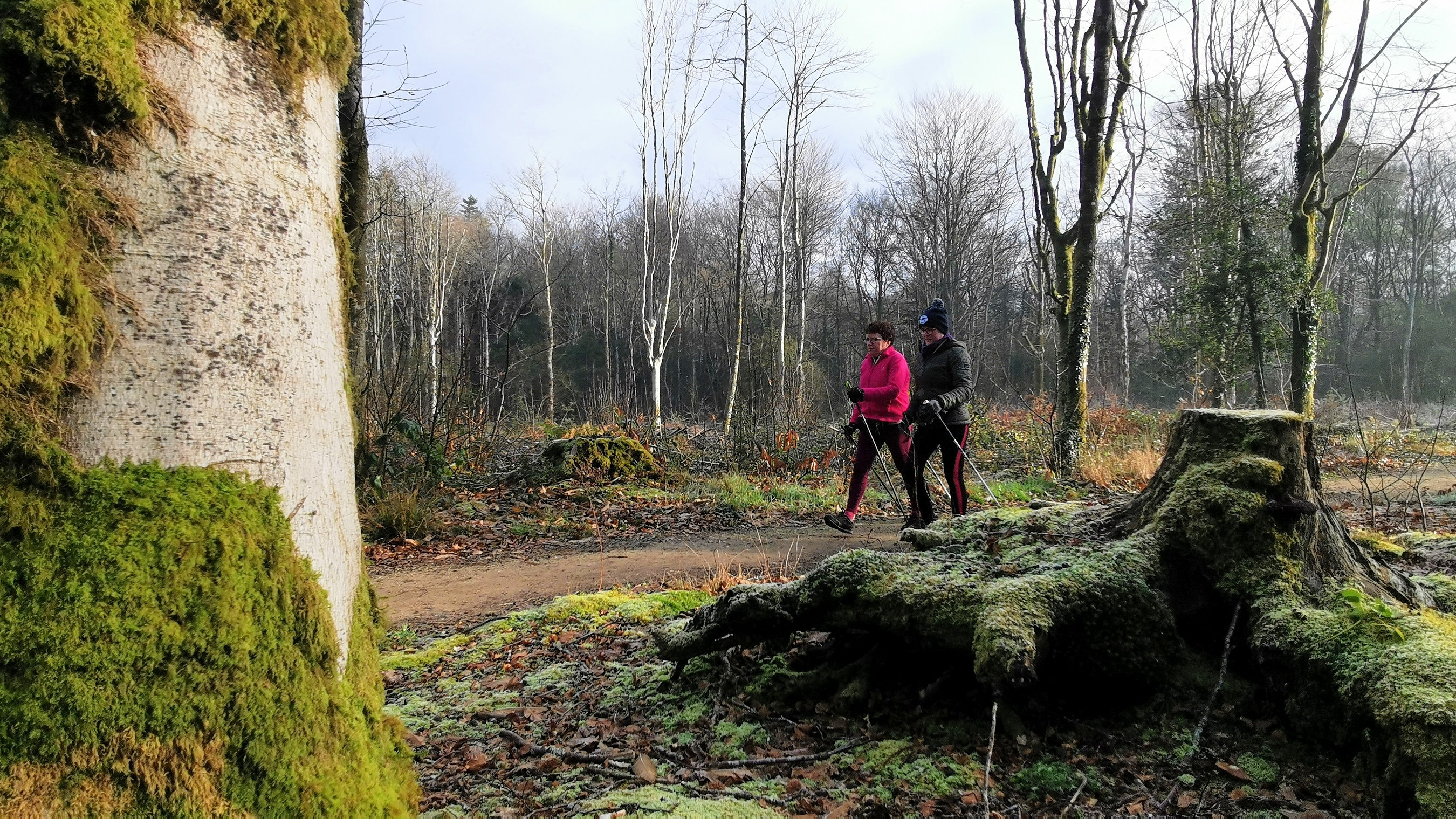 56-IMG_20210107_111727