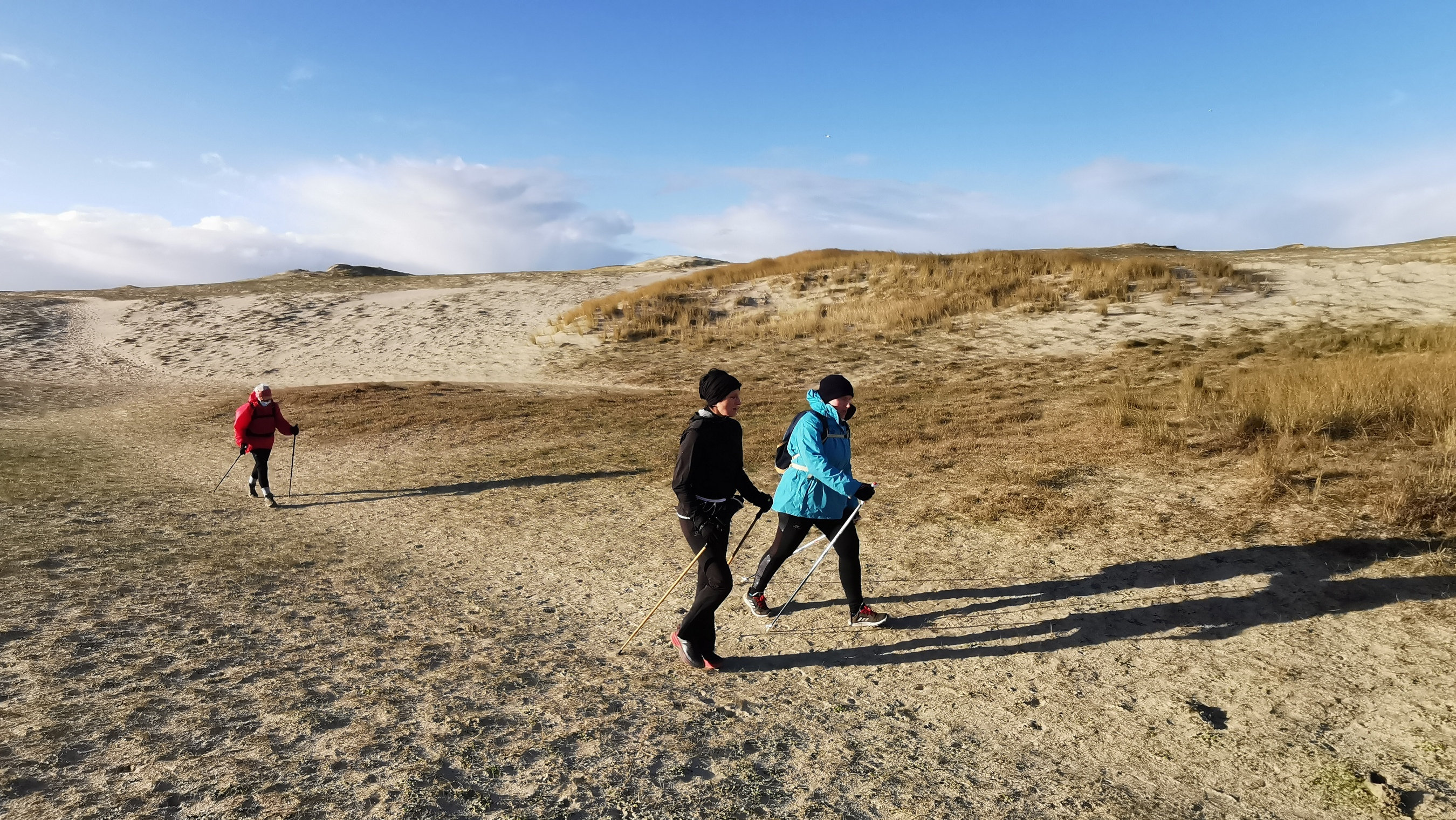 19-IMG_20210124_103105