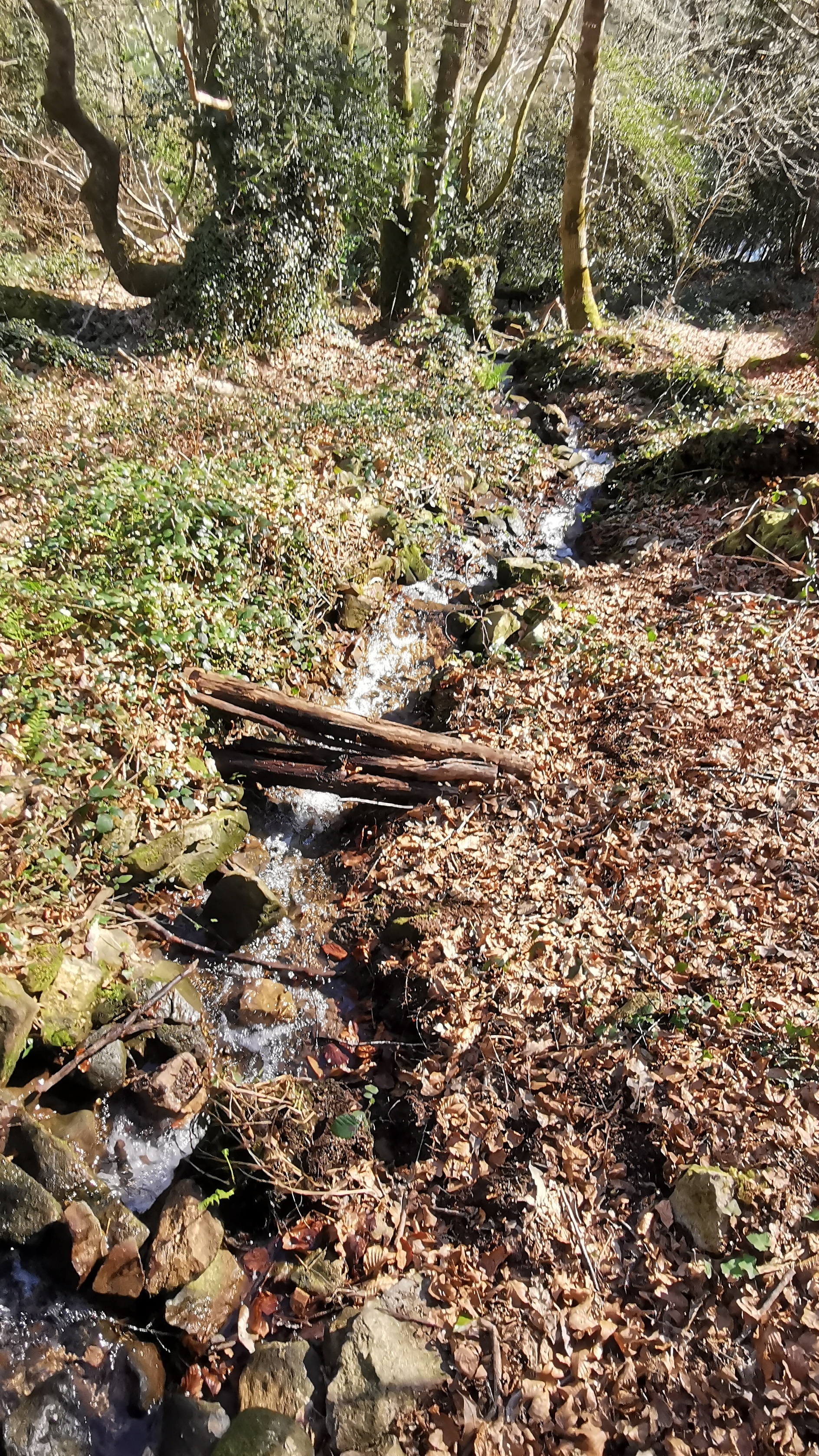 50-IMG_20210320_113219