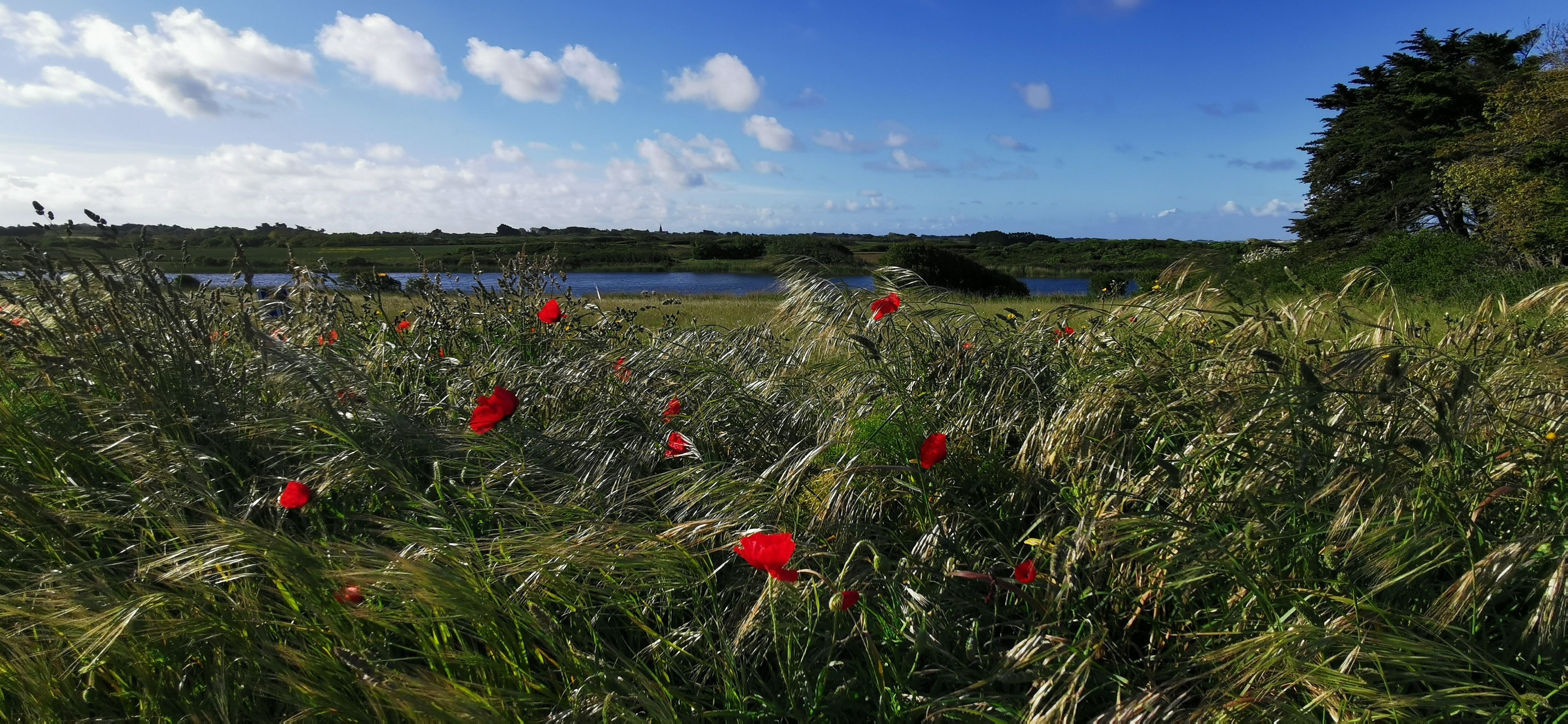 48-IMG_20210523_090938