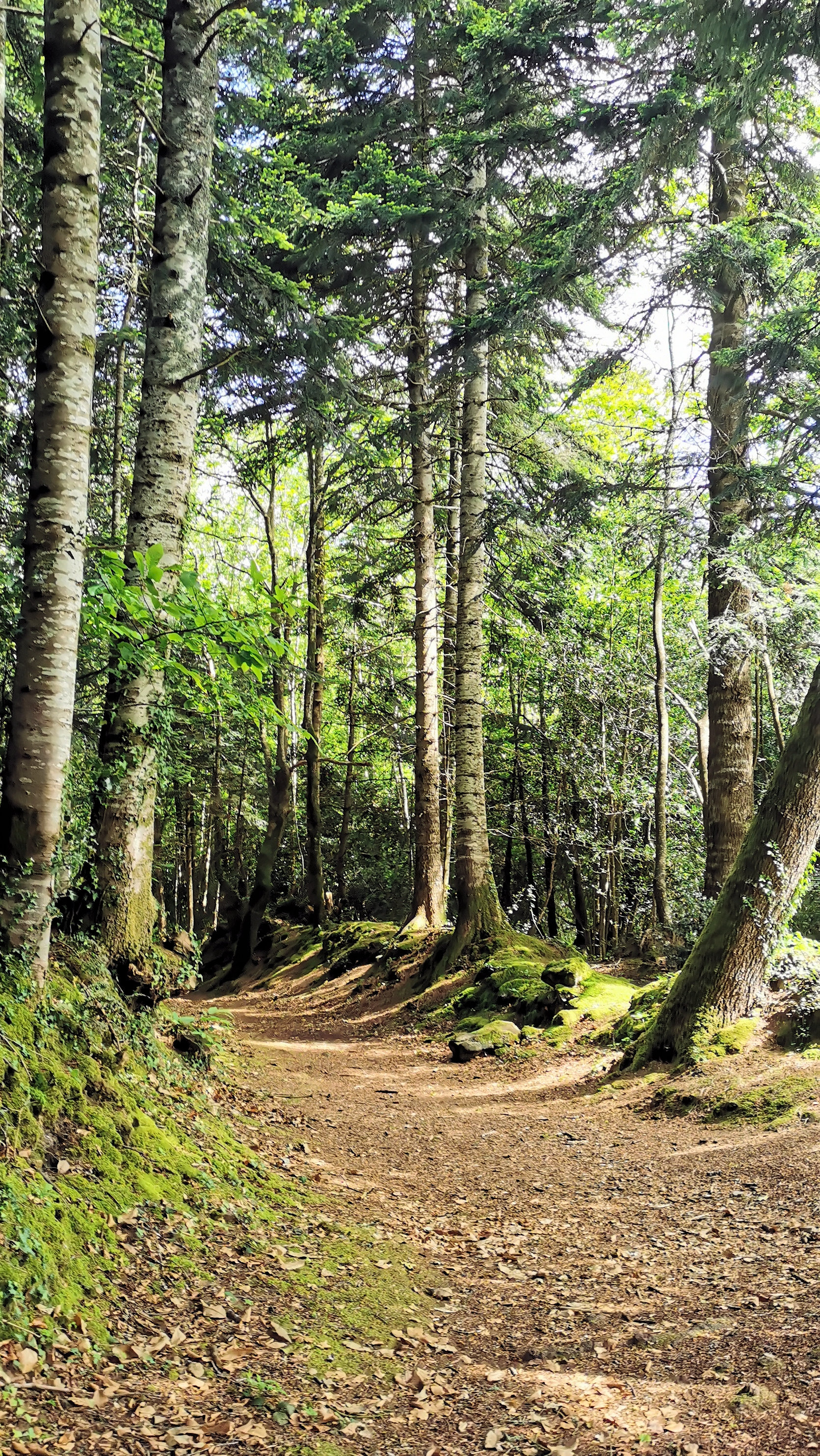 46-IMG_20210522_112634