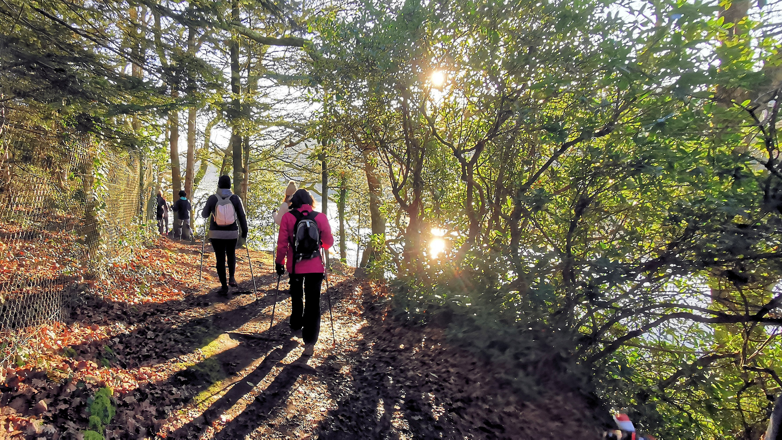 08-IMG_20210207_094336