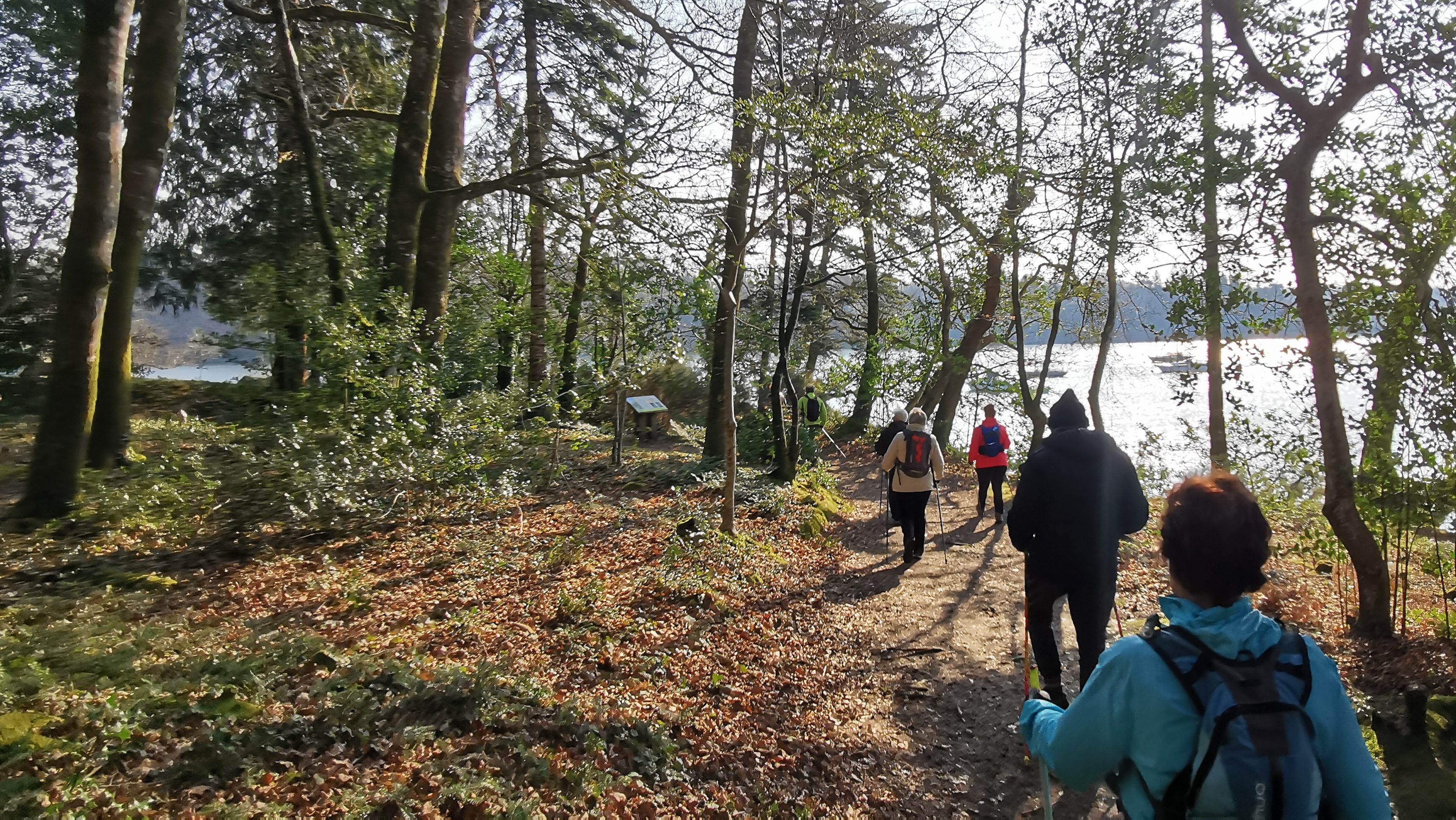 31-IMG_20210308_104745