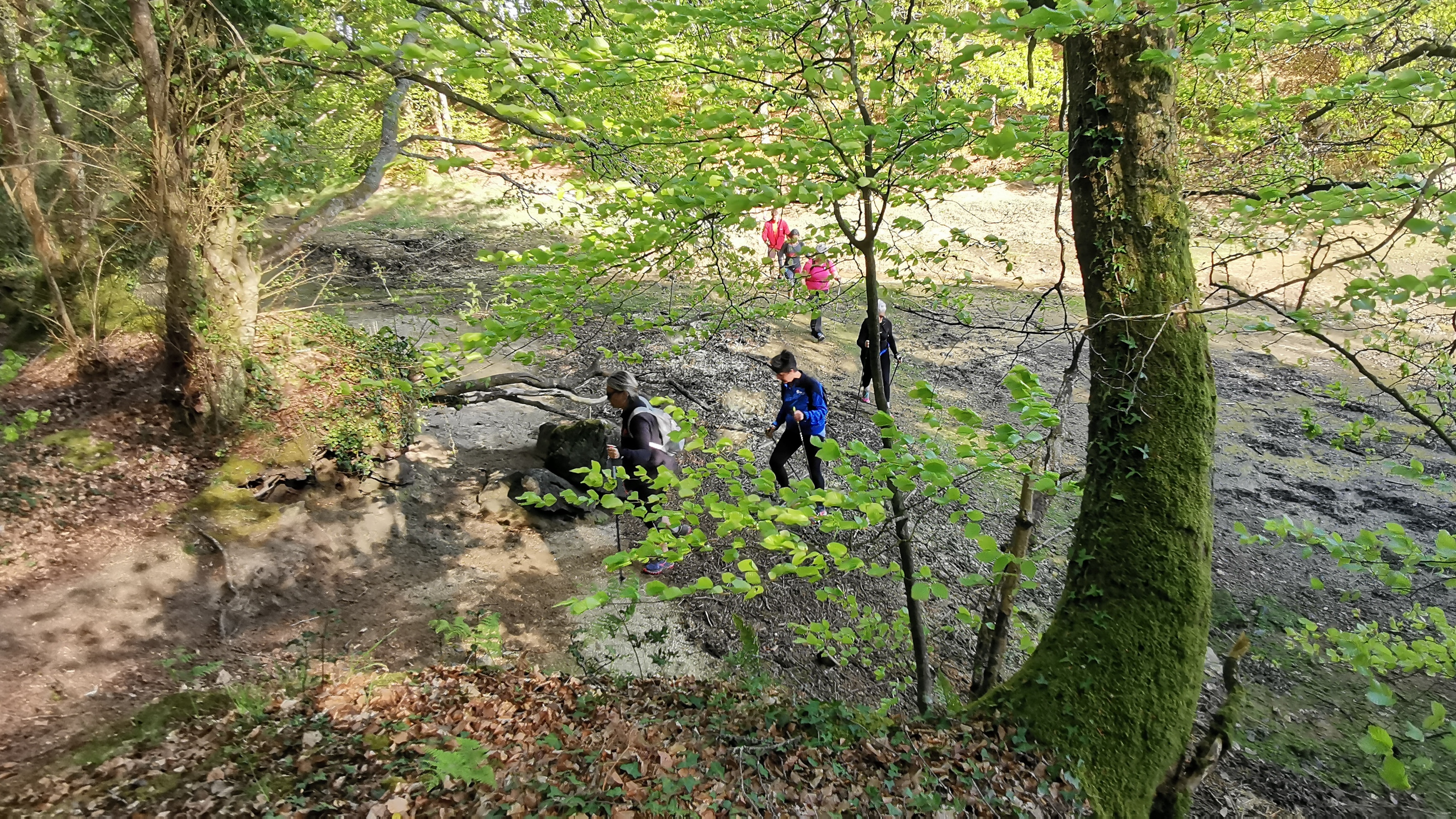 20-IMG_20210425_102627