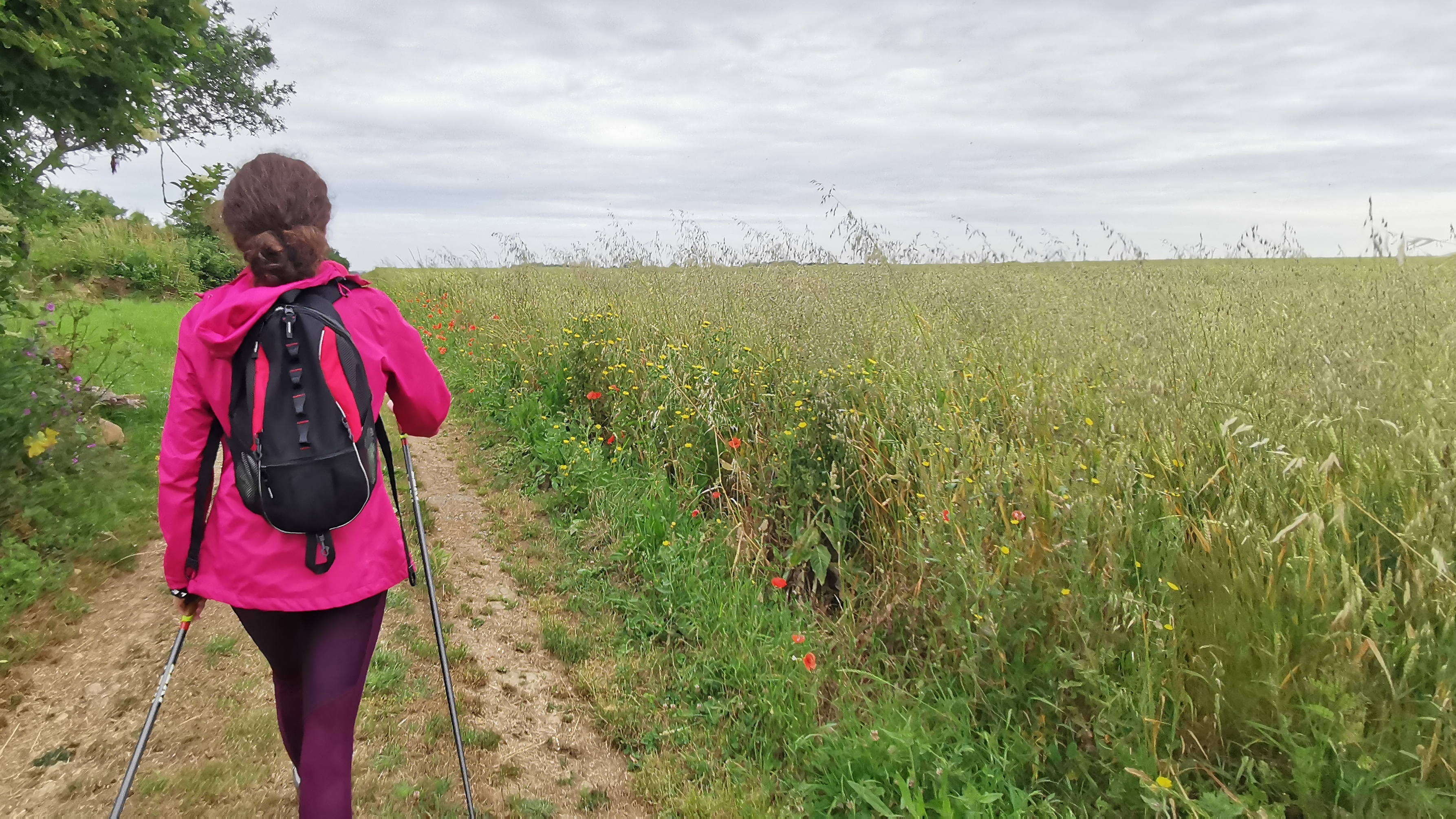 16-IMG_20210619_095612