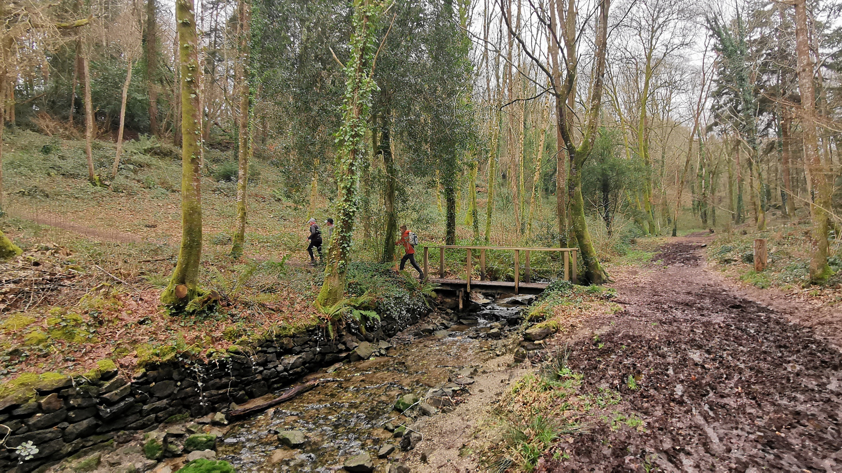 158-IMG_20210220_124512