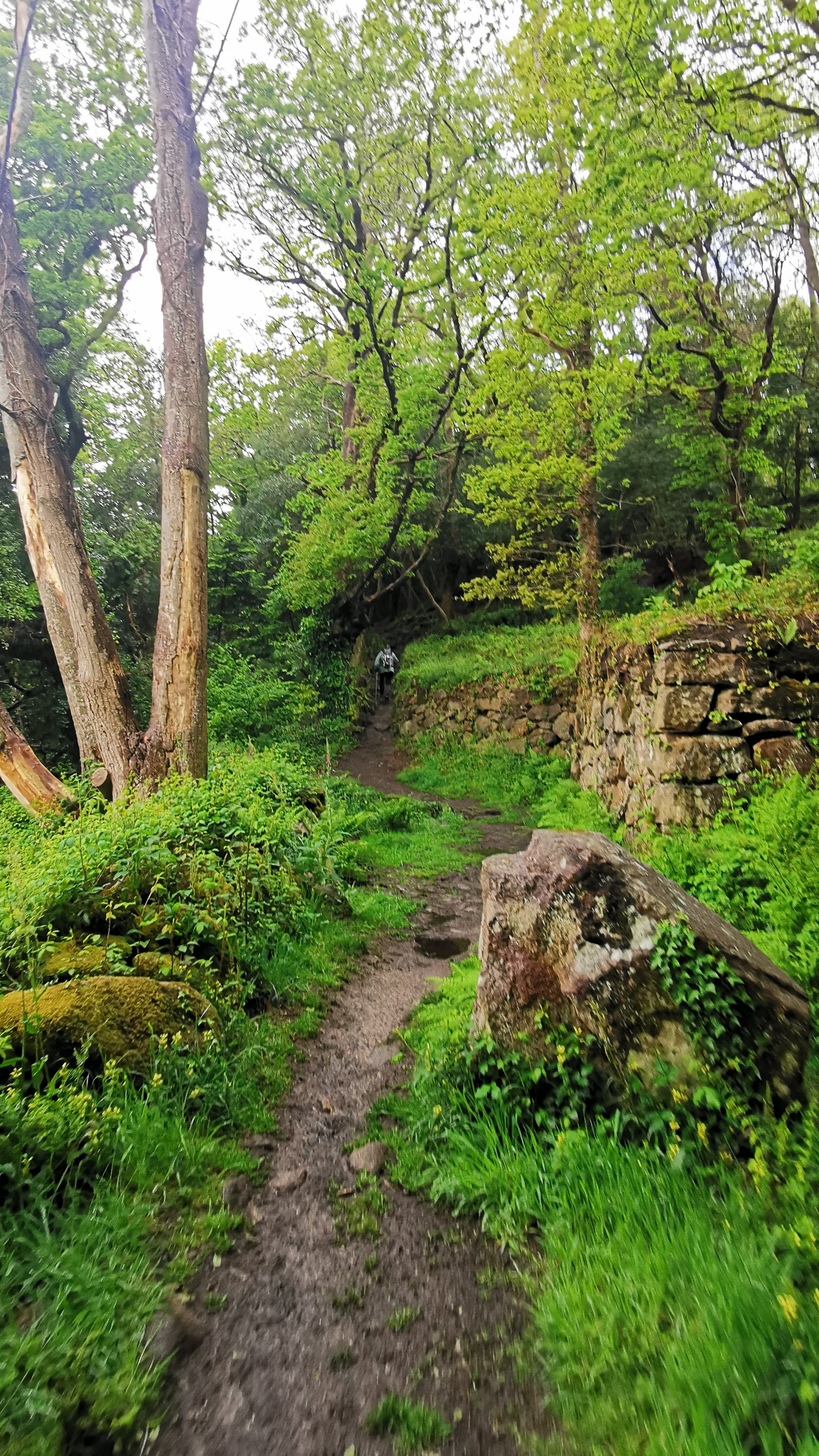 066-IMG_20210513_103614