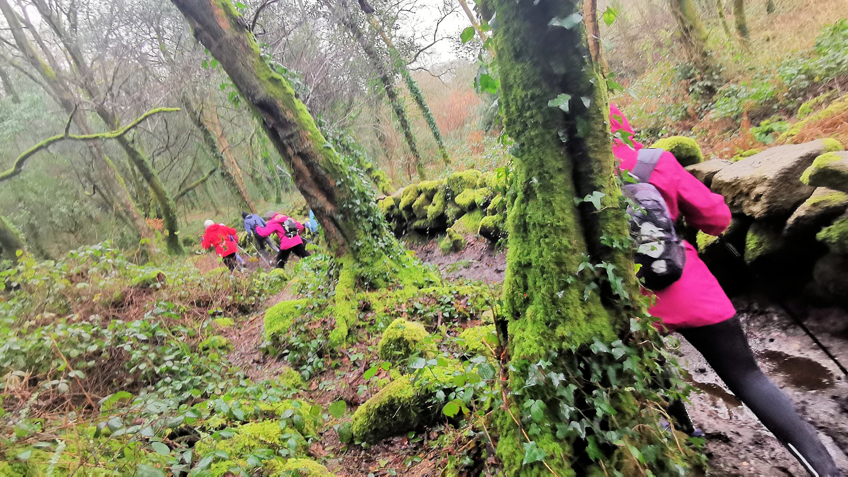 45-IMG_20210121_104222_1