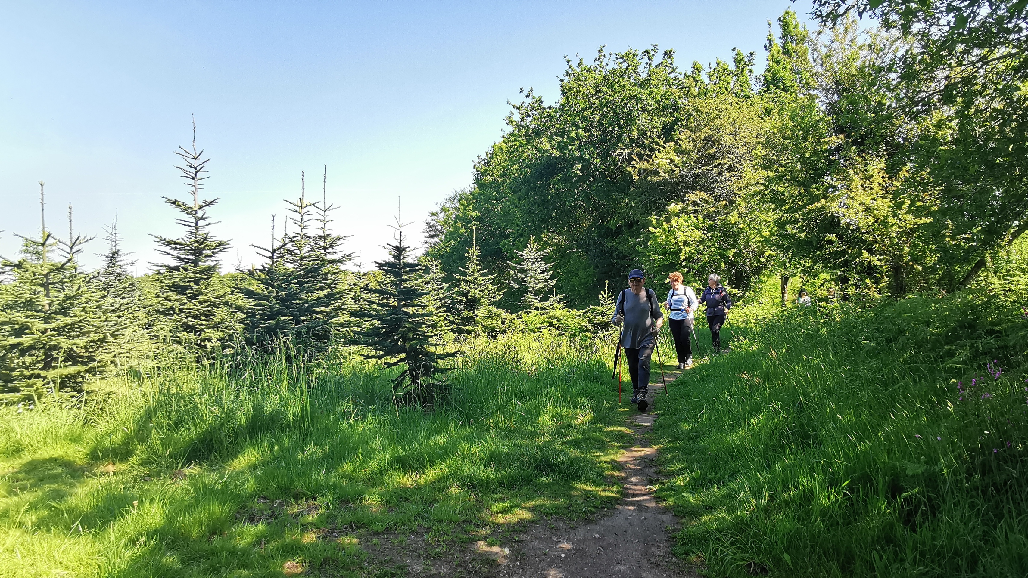 36-IMG_20210531_105328