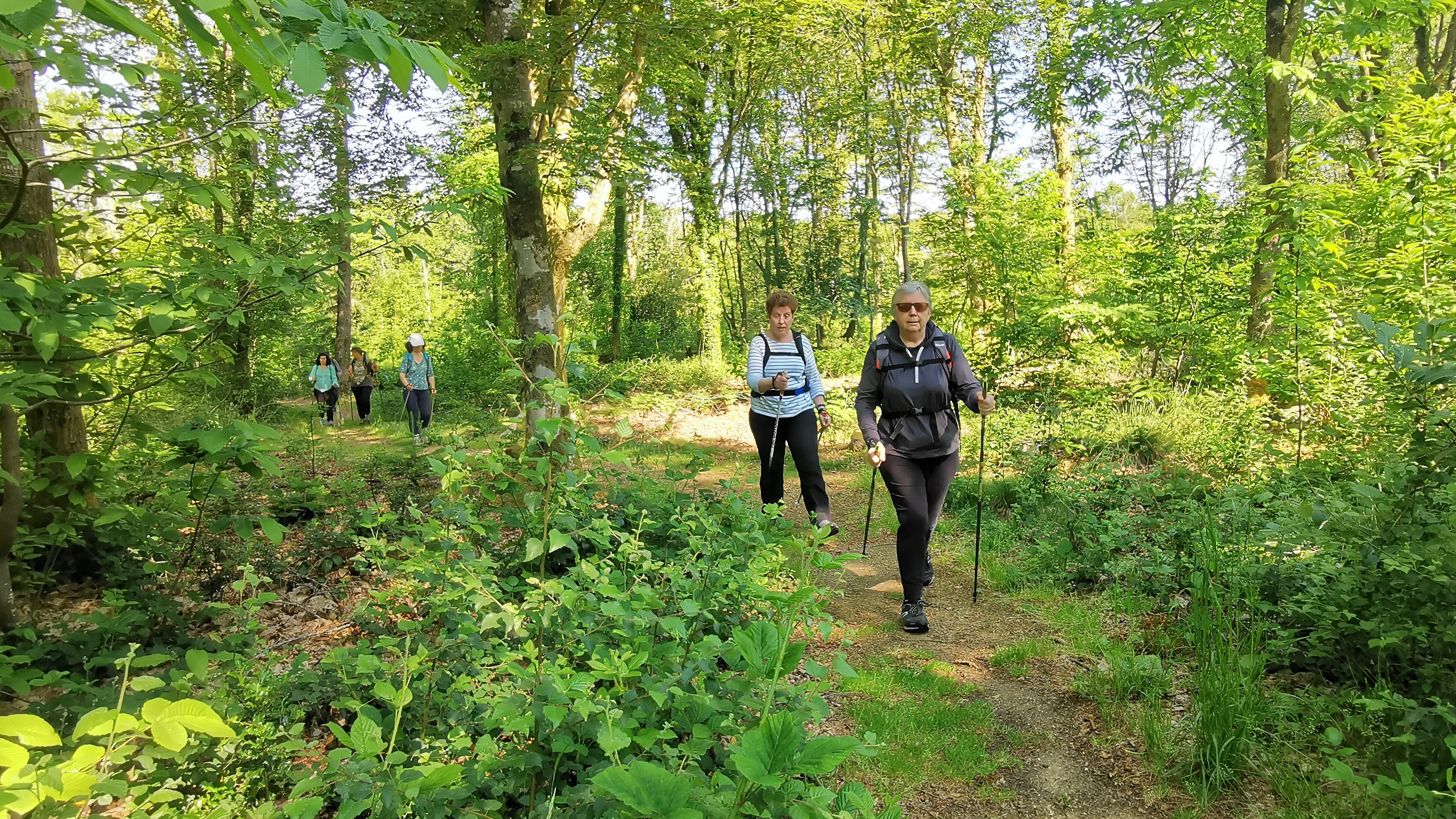 21-IMG_20210531_103801