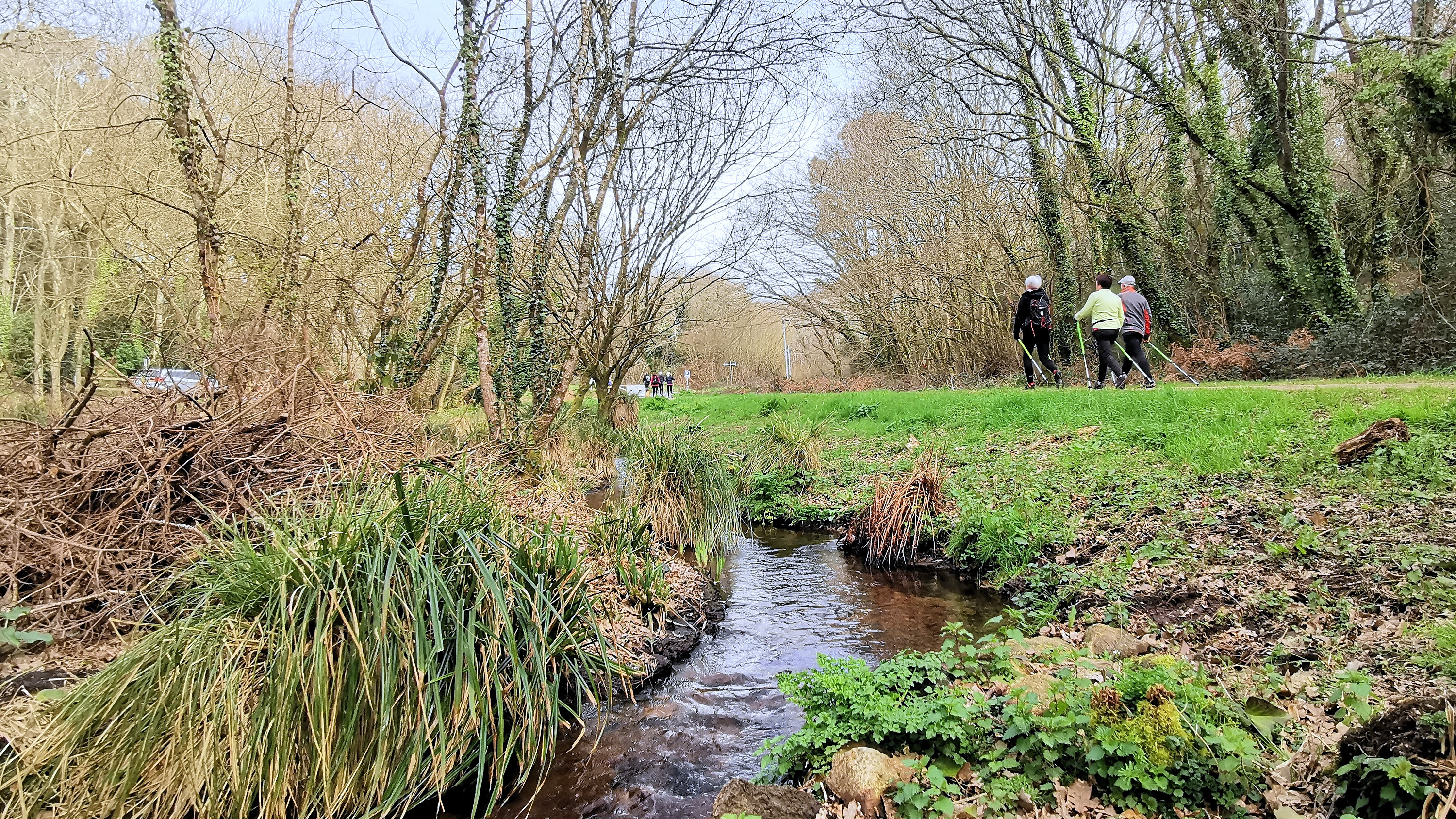 76-IMG_20210302_114119_1