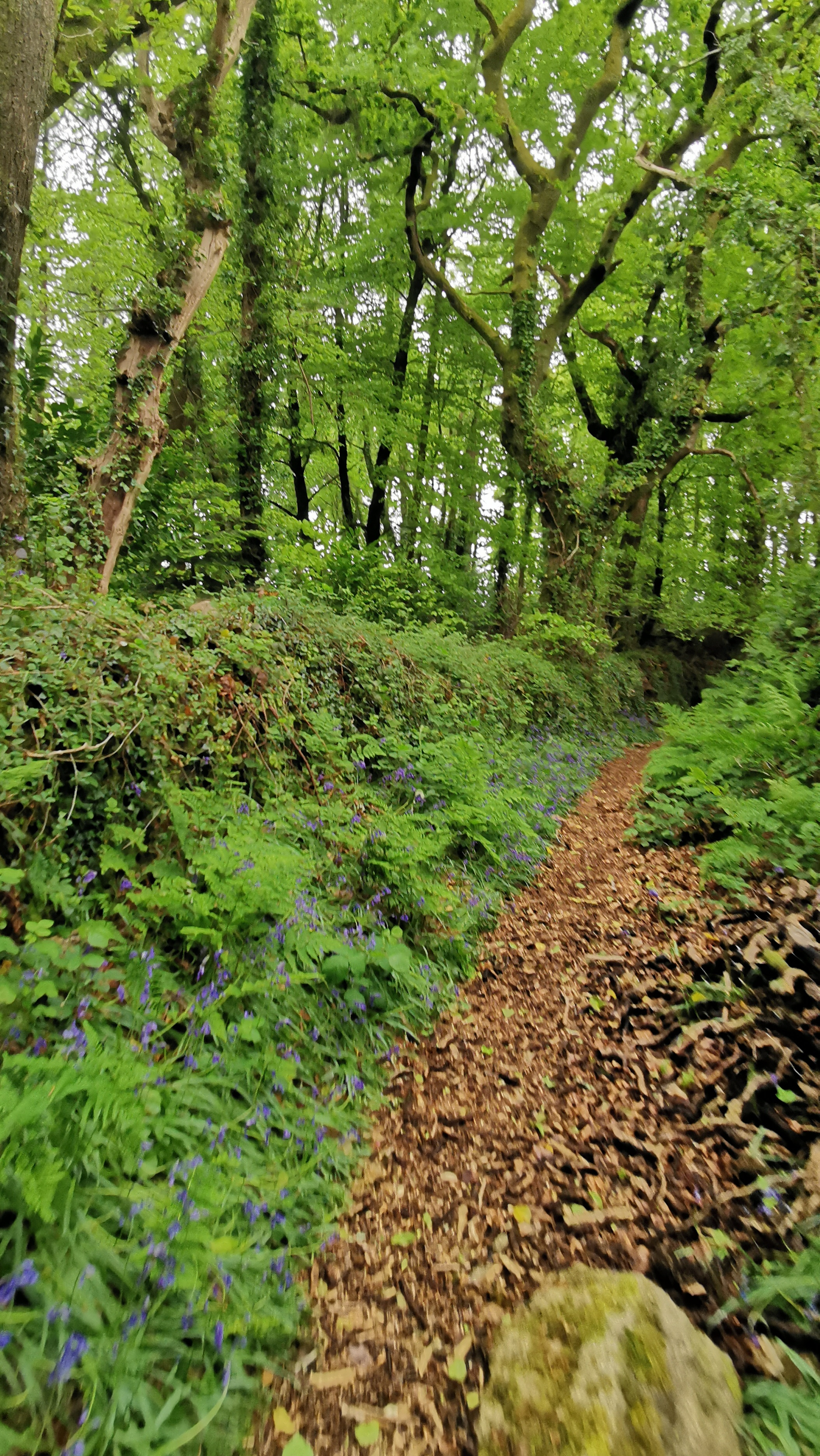 73-IMG_20210508_113951