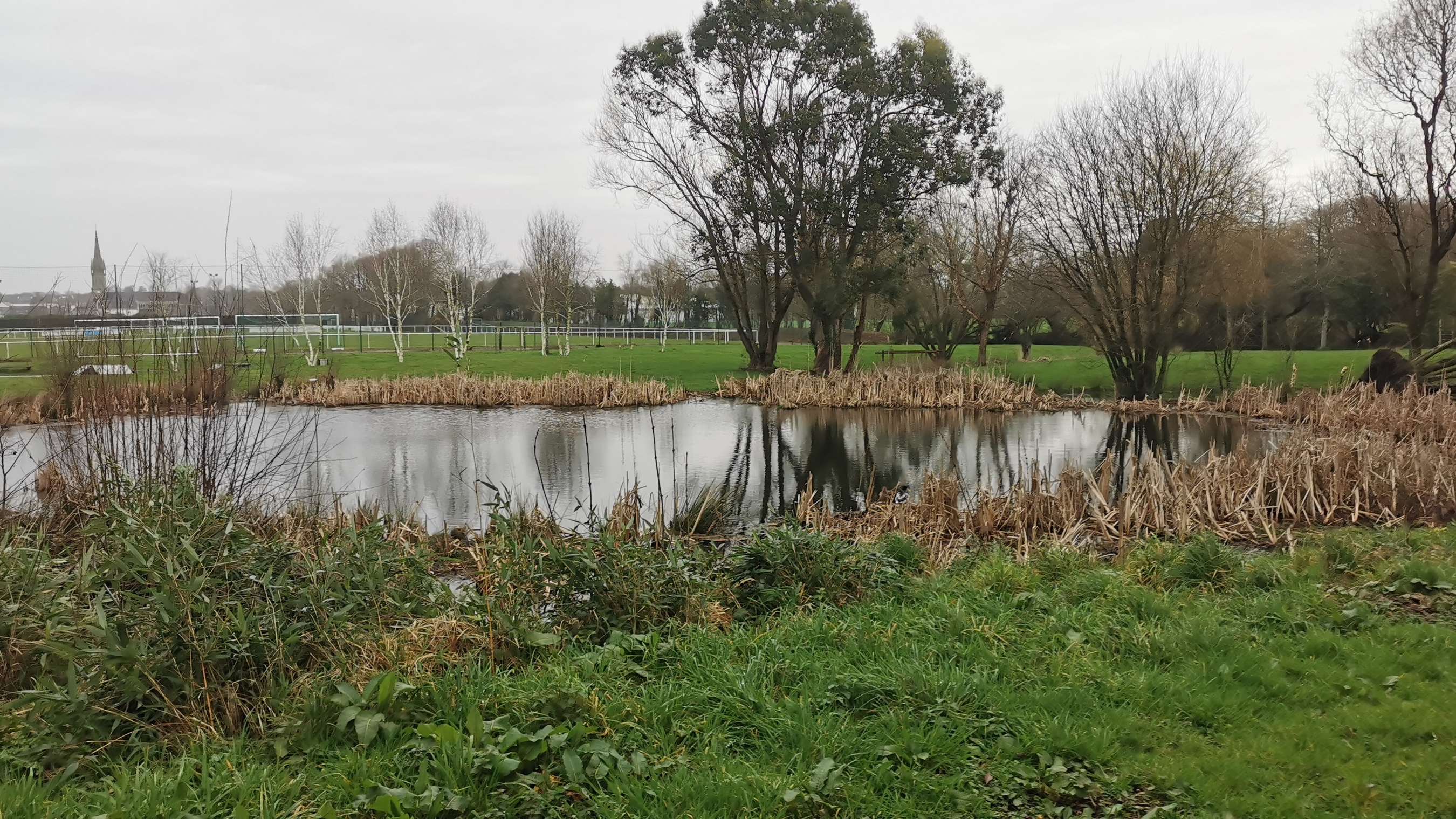 014-IMG_20210220_100326