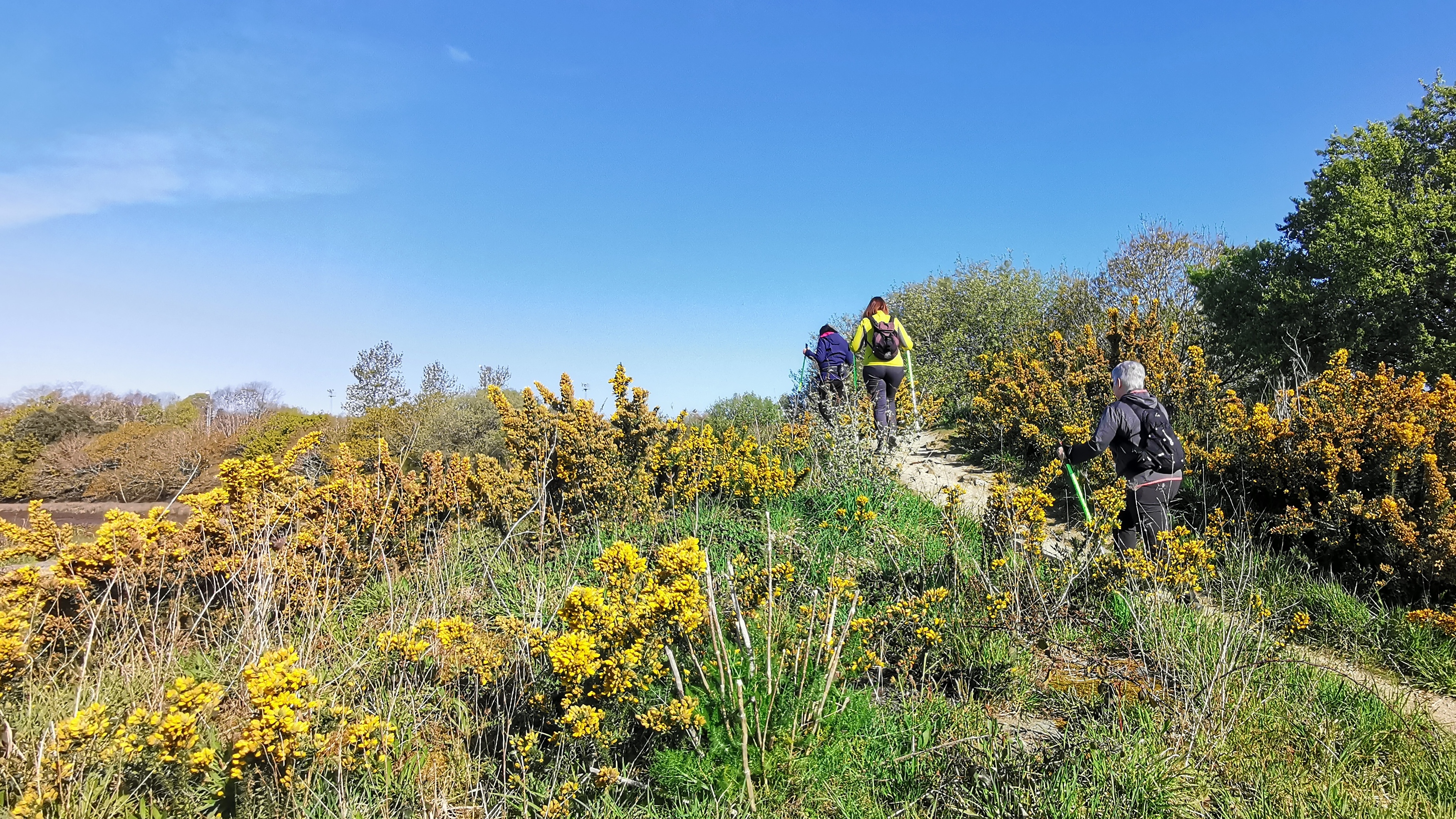 12-IMG_20210413_103248