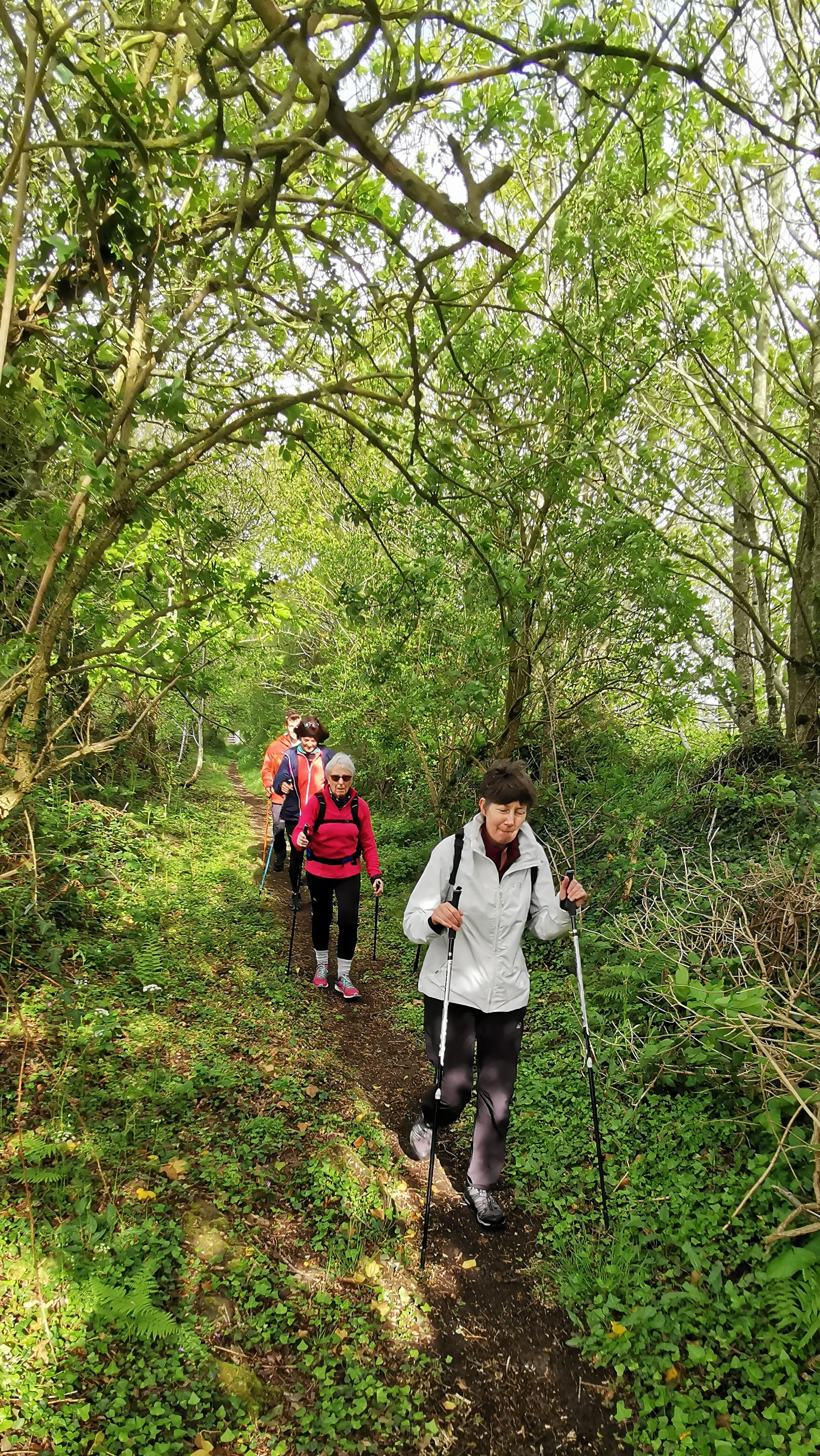 14-IMG_20210508_101235_1