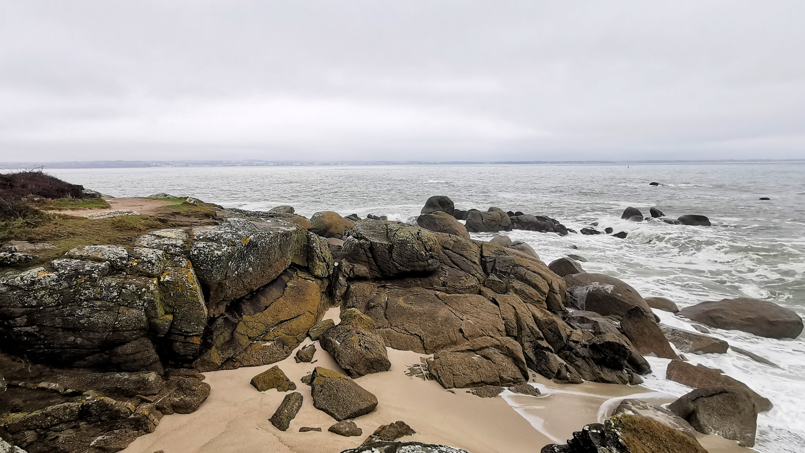 31-IMG_20210221_105201_1