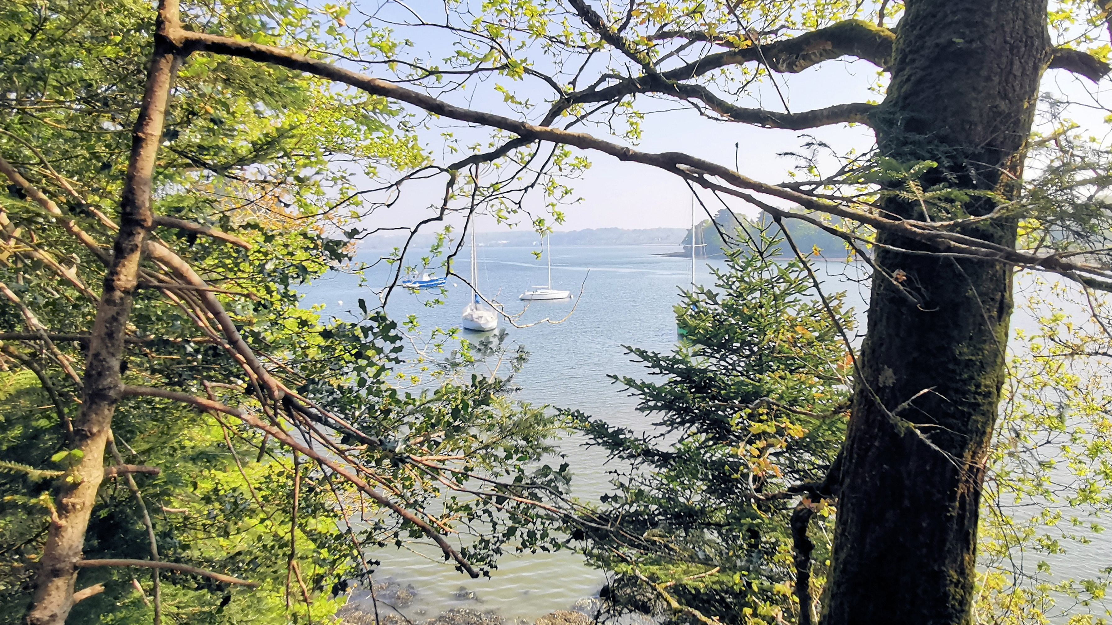 29-IMG_20210422_105842